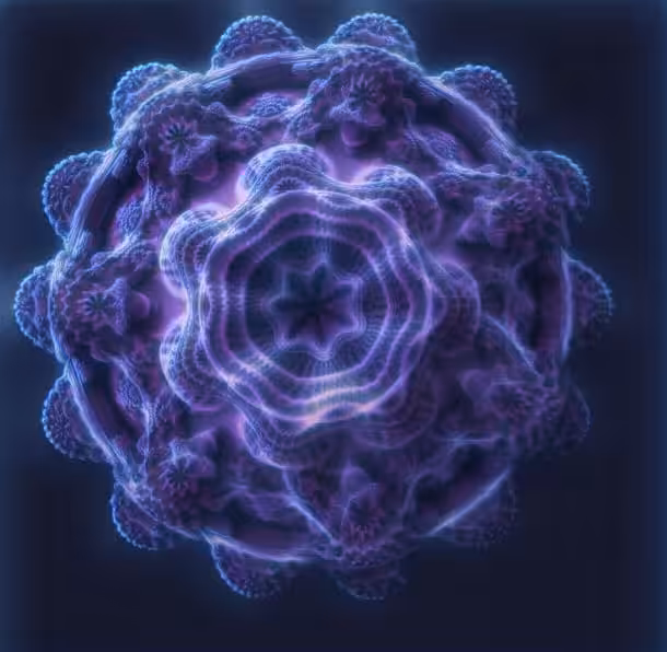 brot fractal