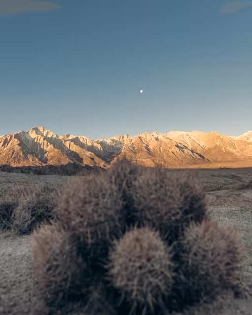 6. Alabama Hills