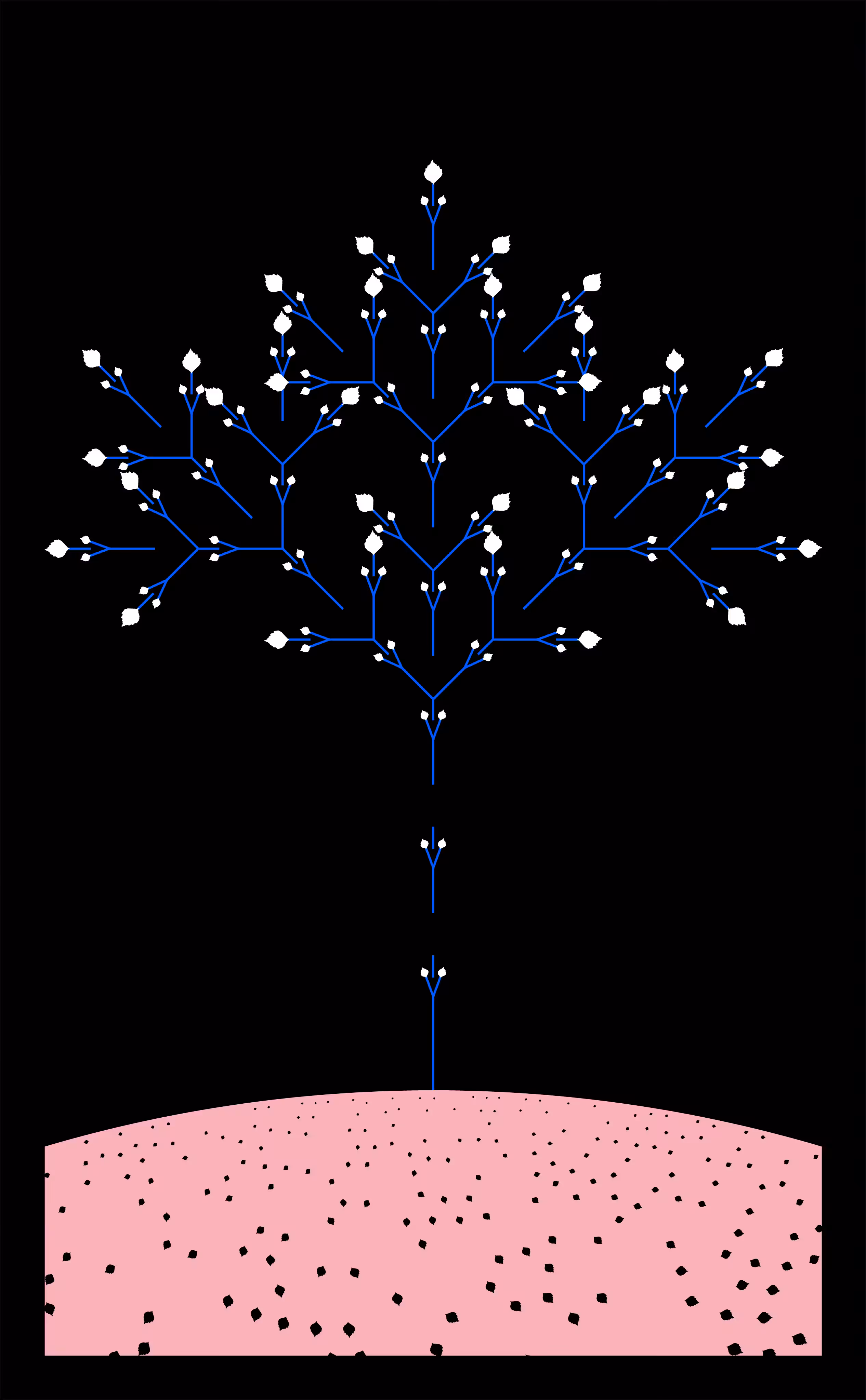 Blossom