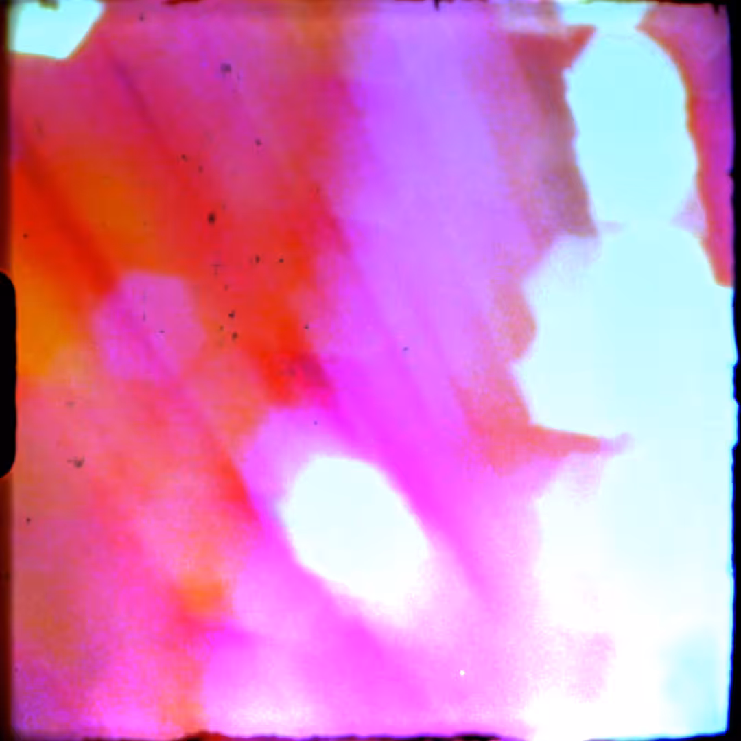 LUMEN8 > 010