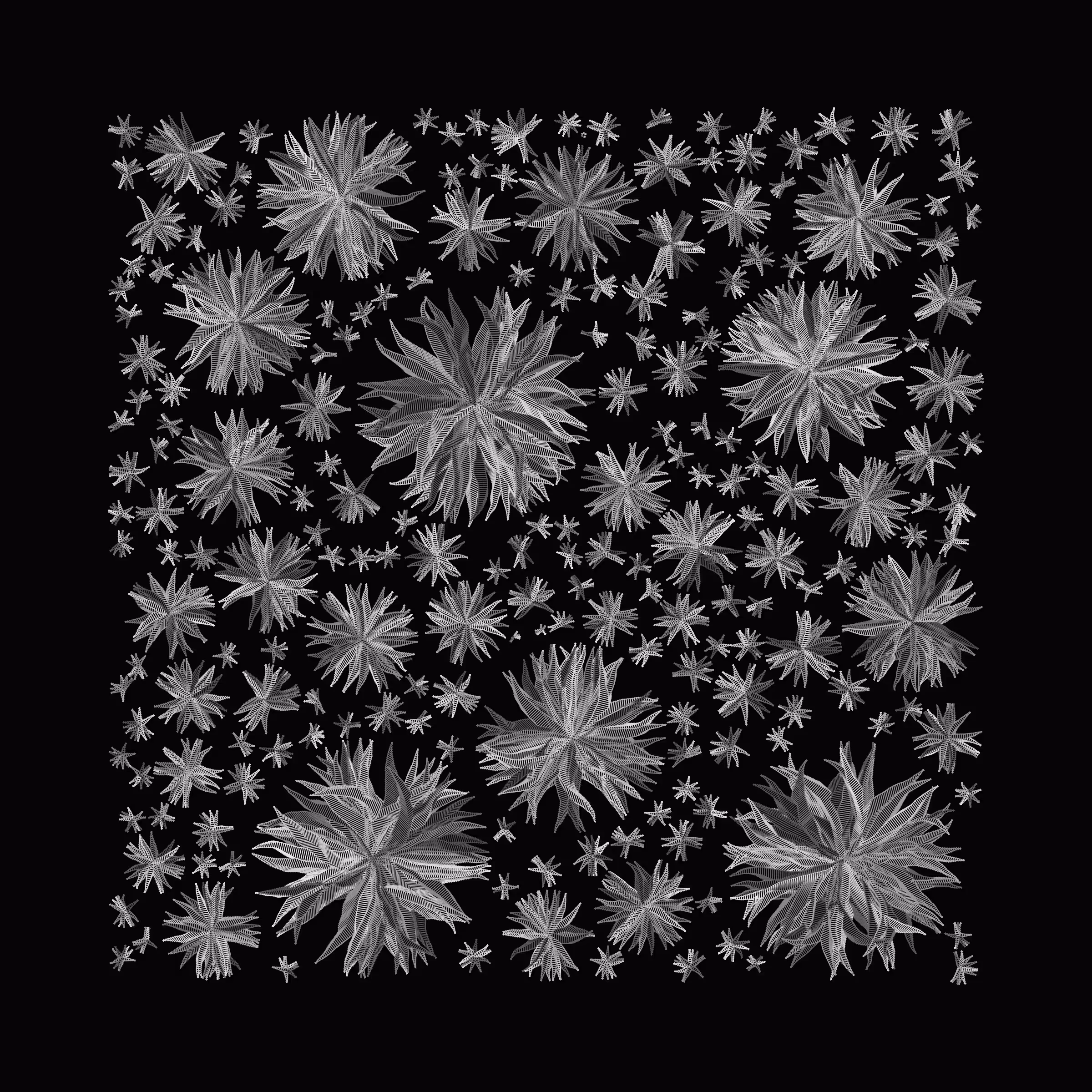 pollen • black 1