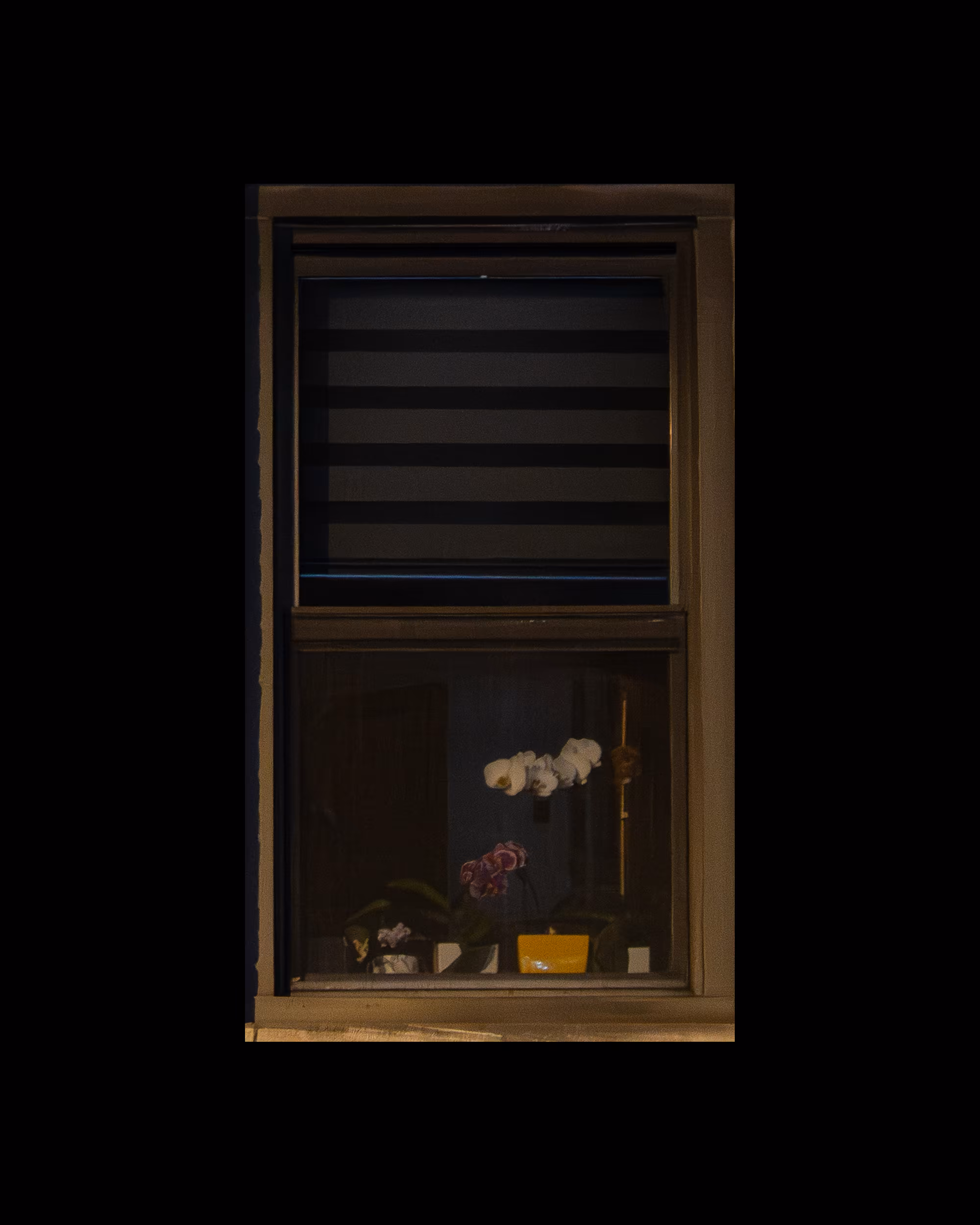 WINDOWS // NYC: WINDOW 515