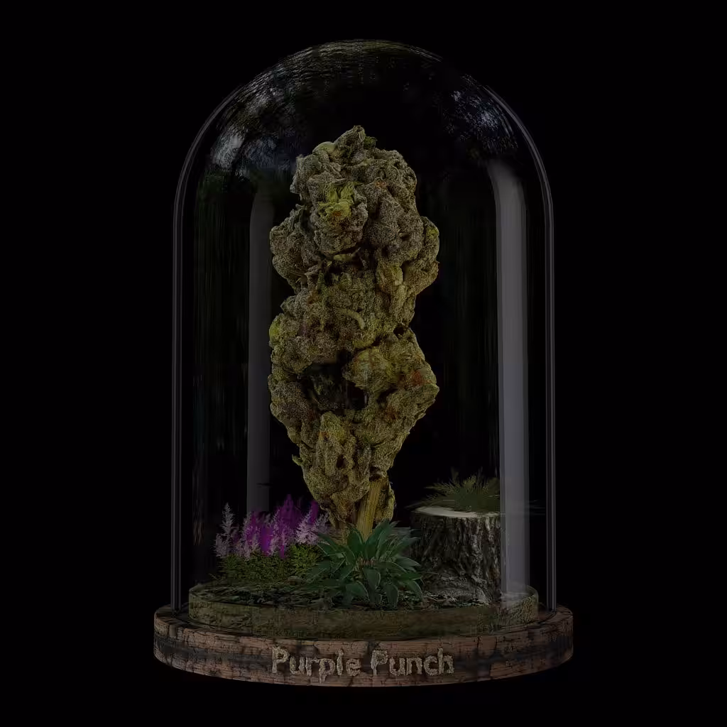 Open Nugs: Purple Punch