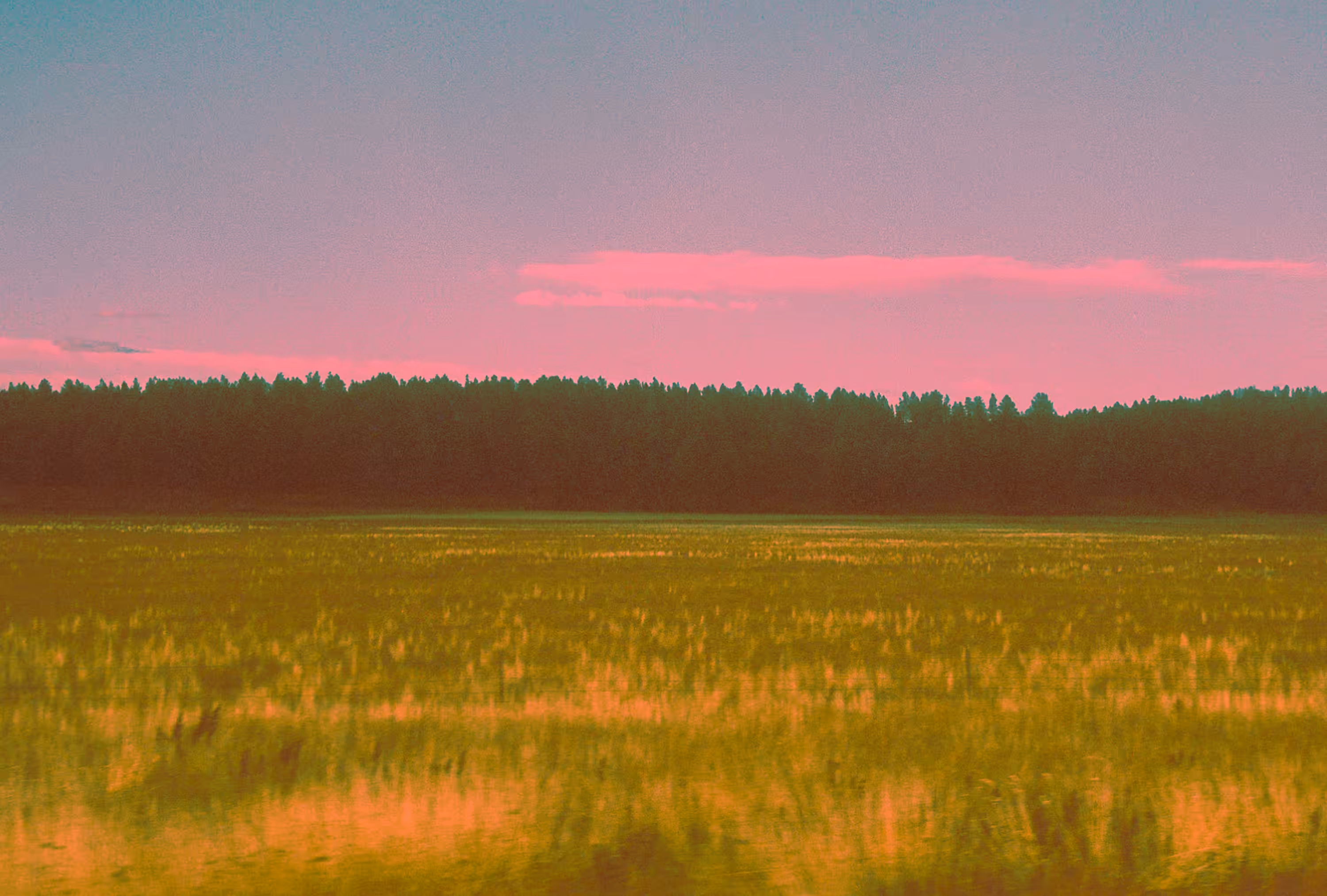 The Pink Plains  #3/3