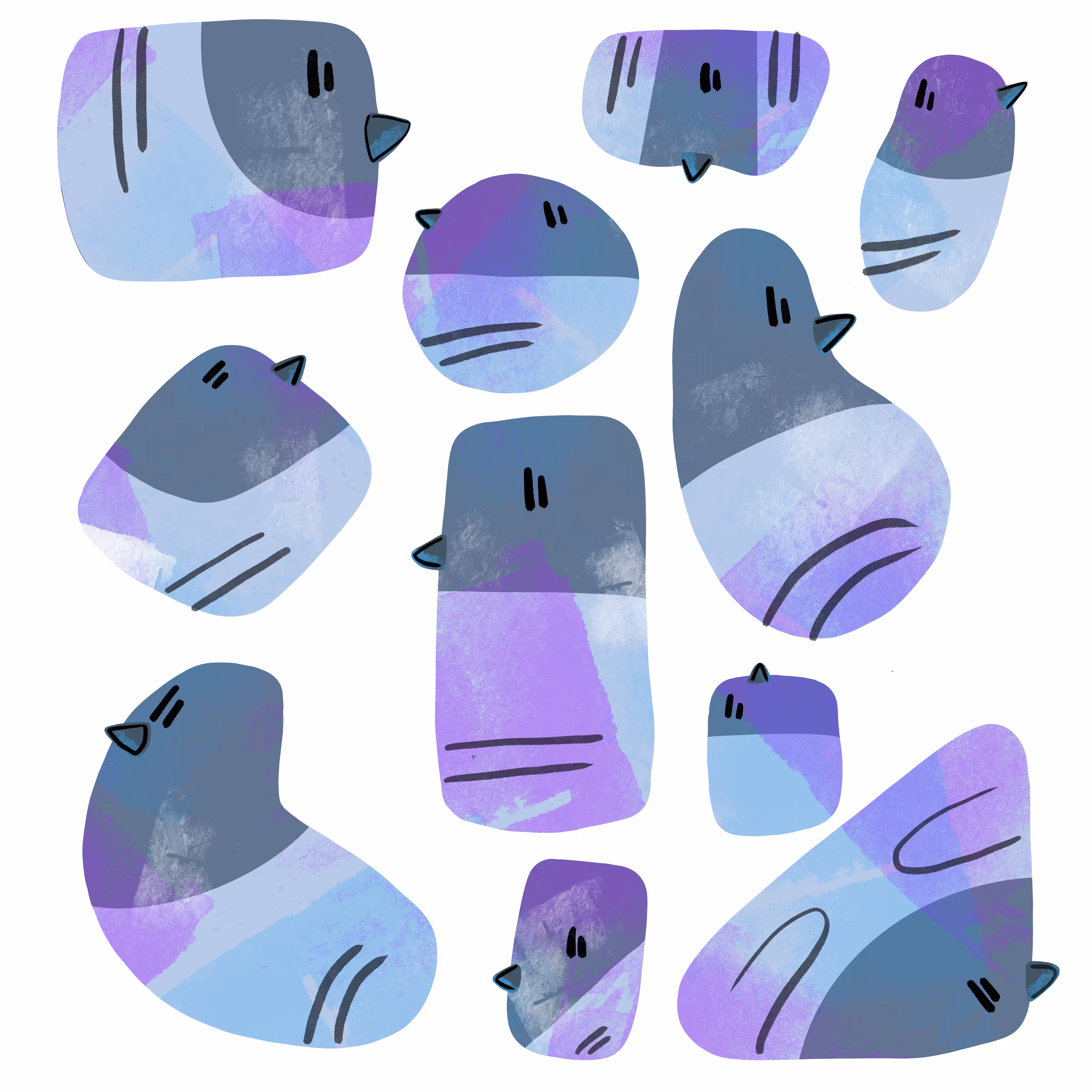 Just some Pigeons!!