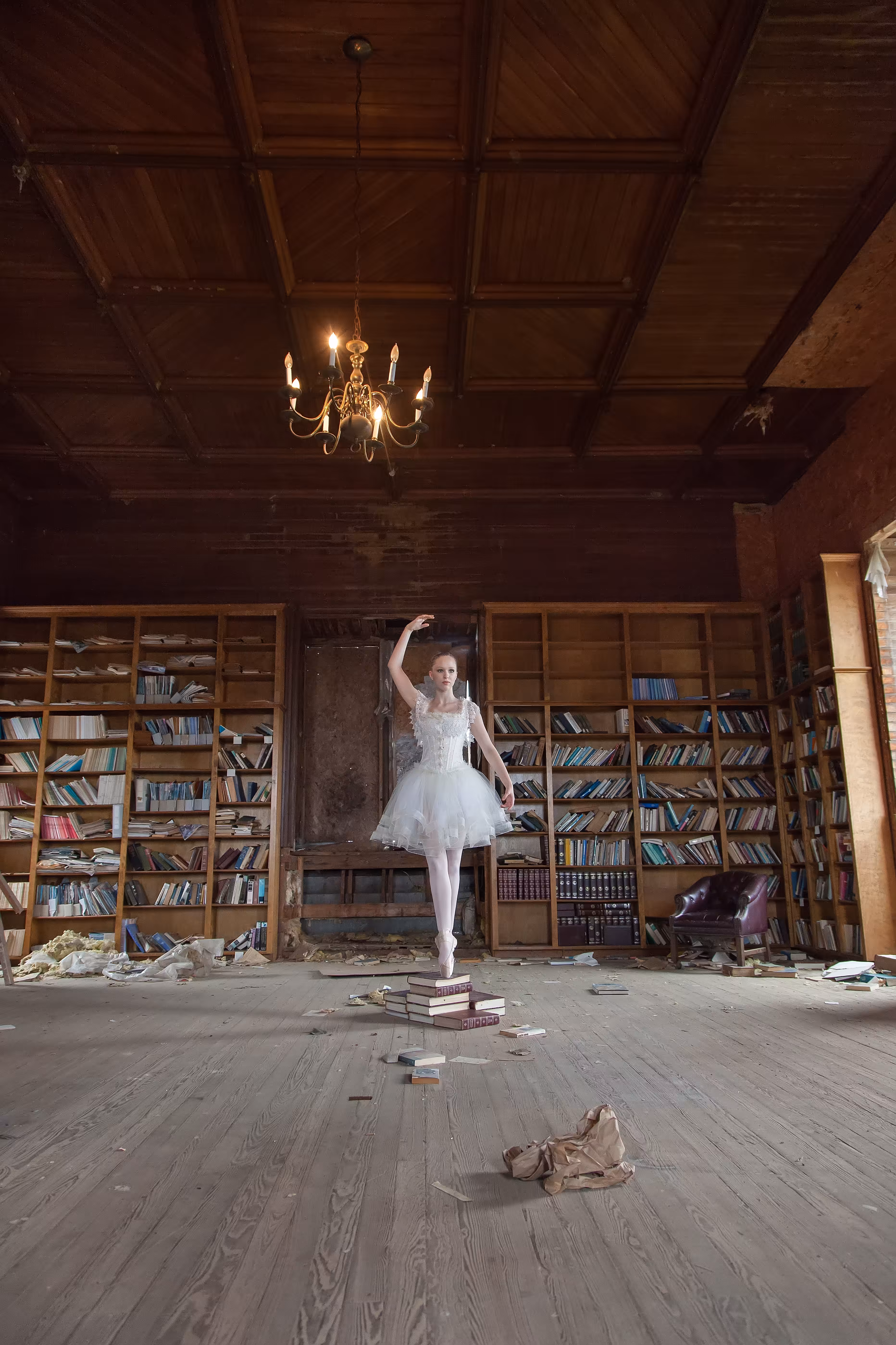 Beauté Dans La Bibliothèque