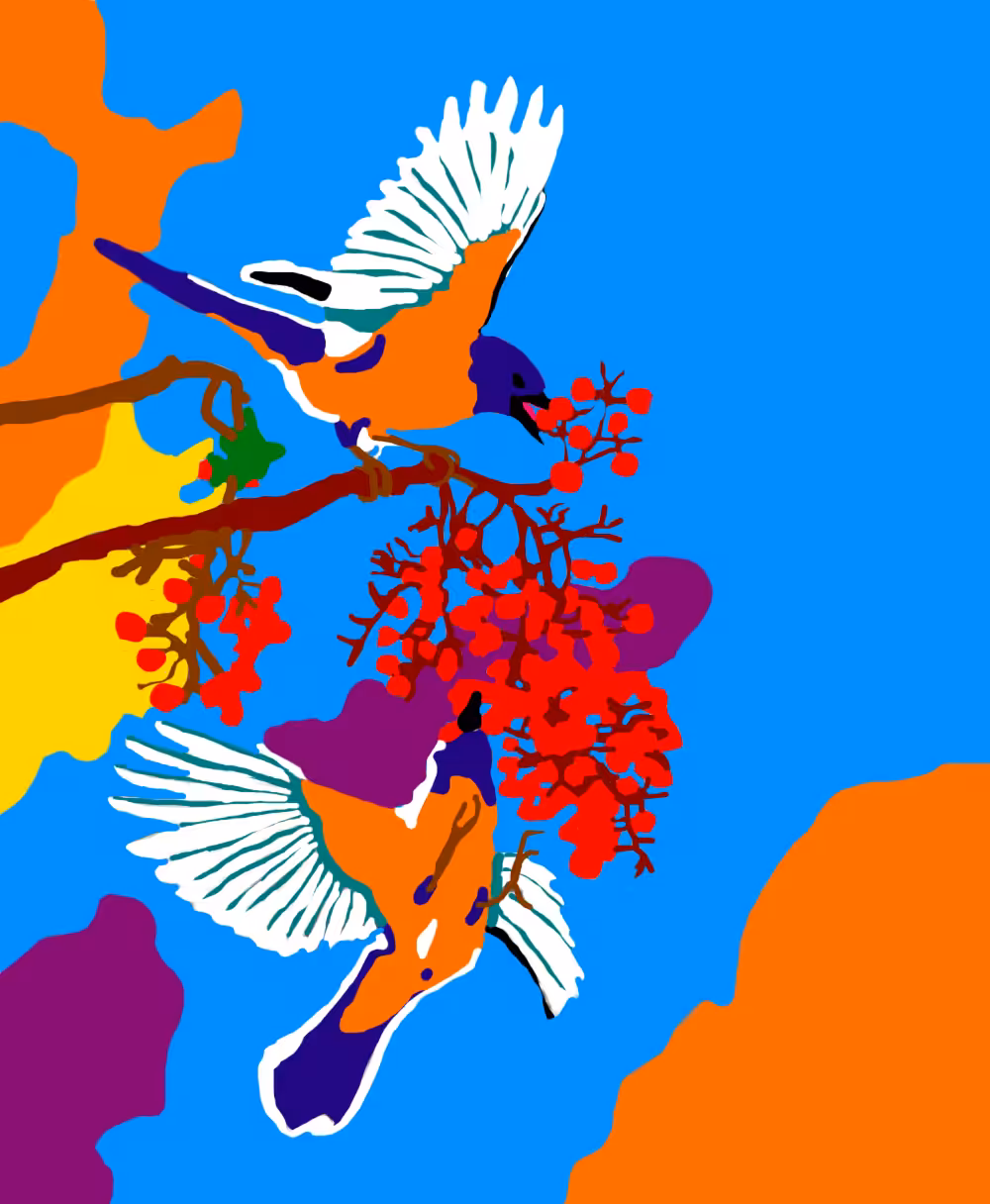 Les oiseaux grapillent 