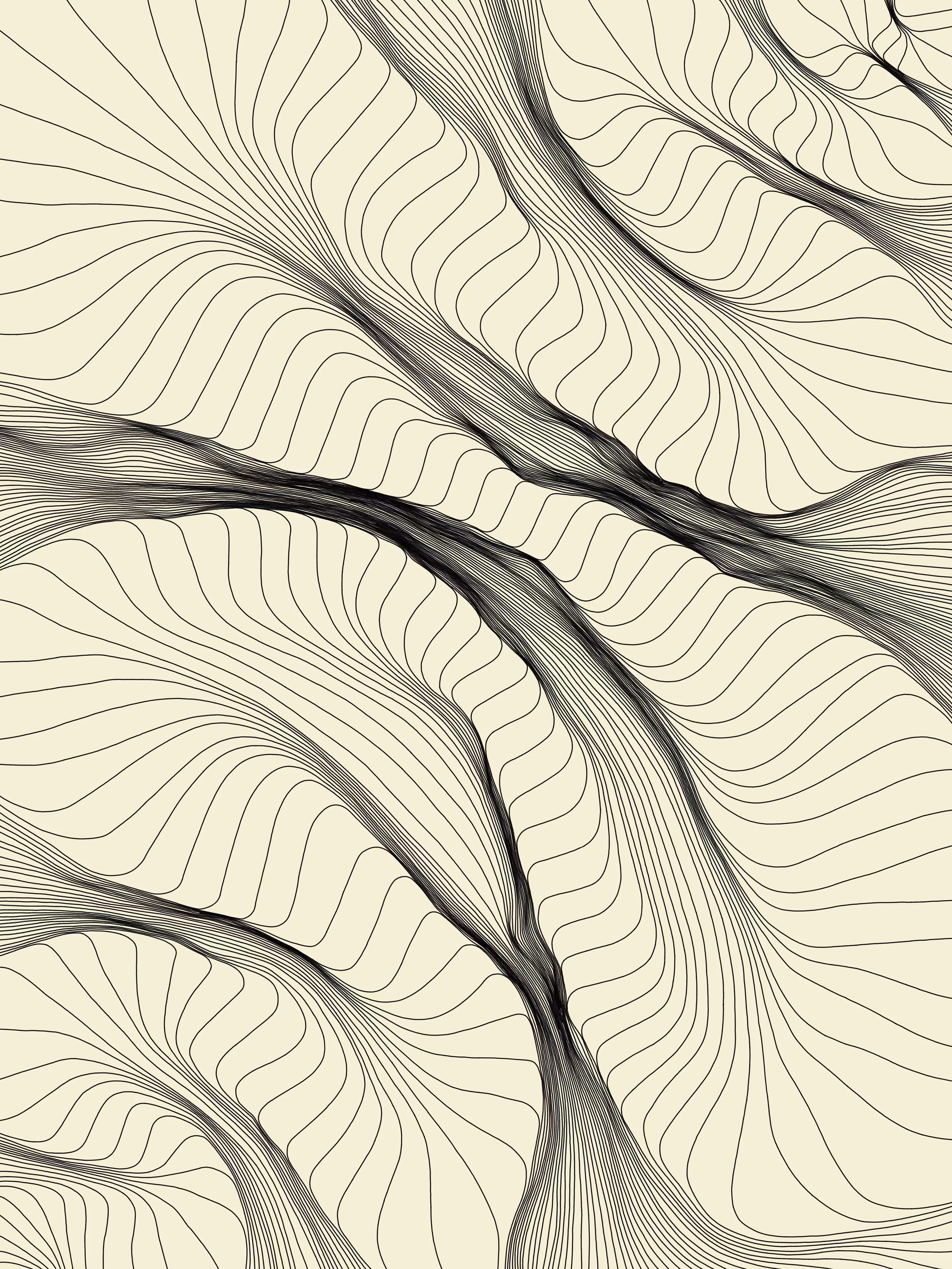the folding path