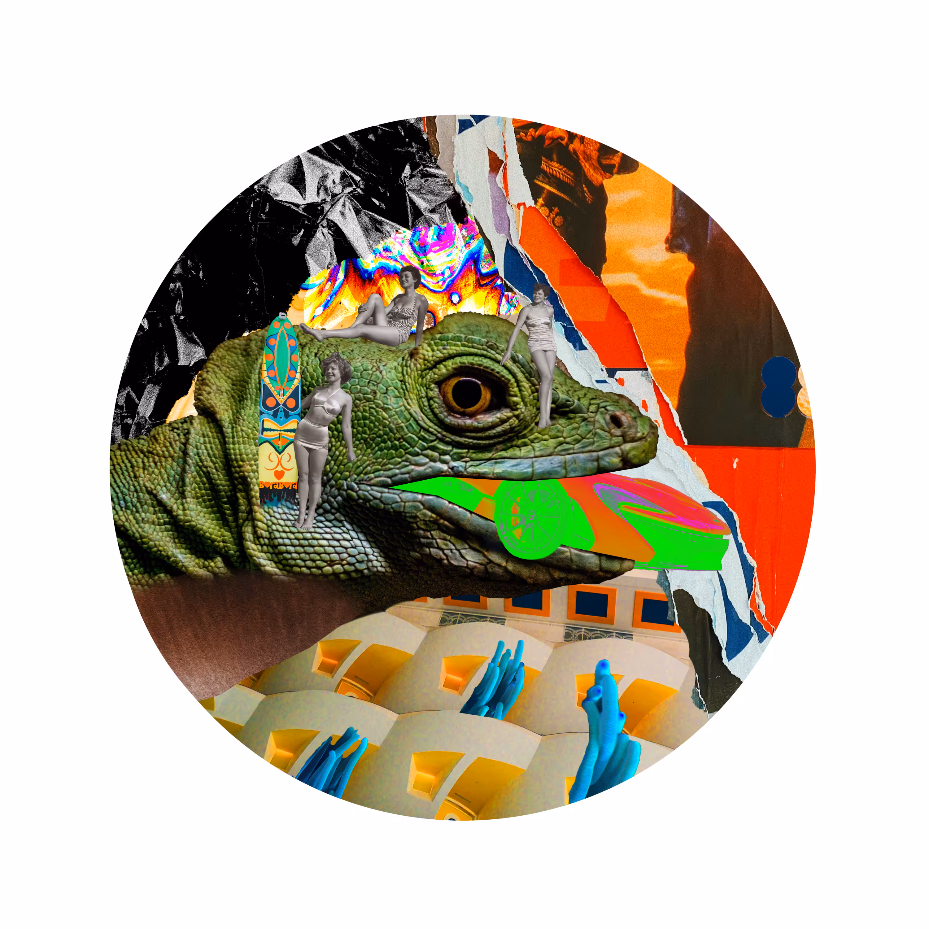 chameleon