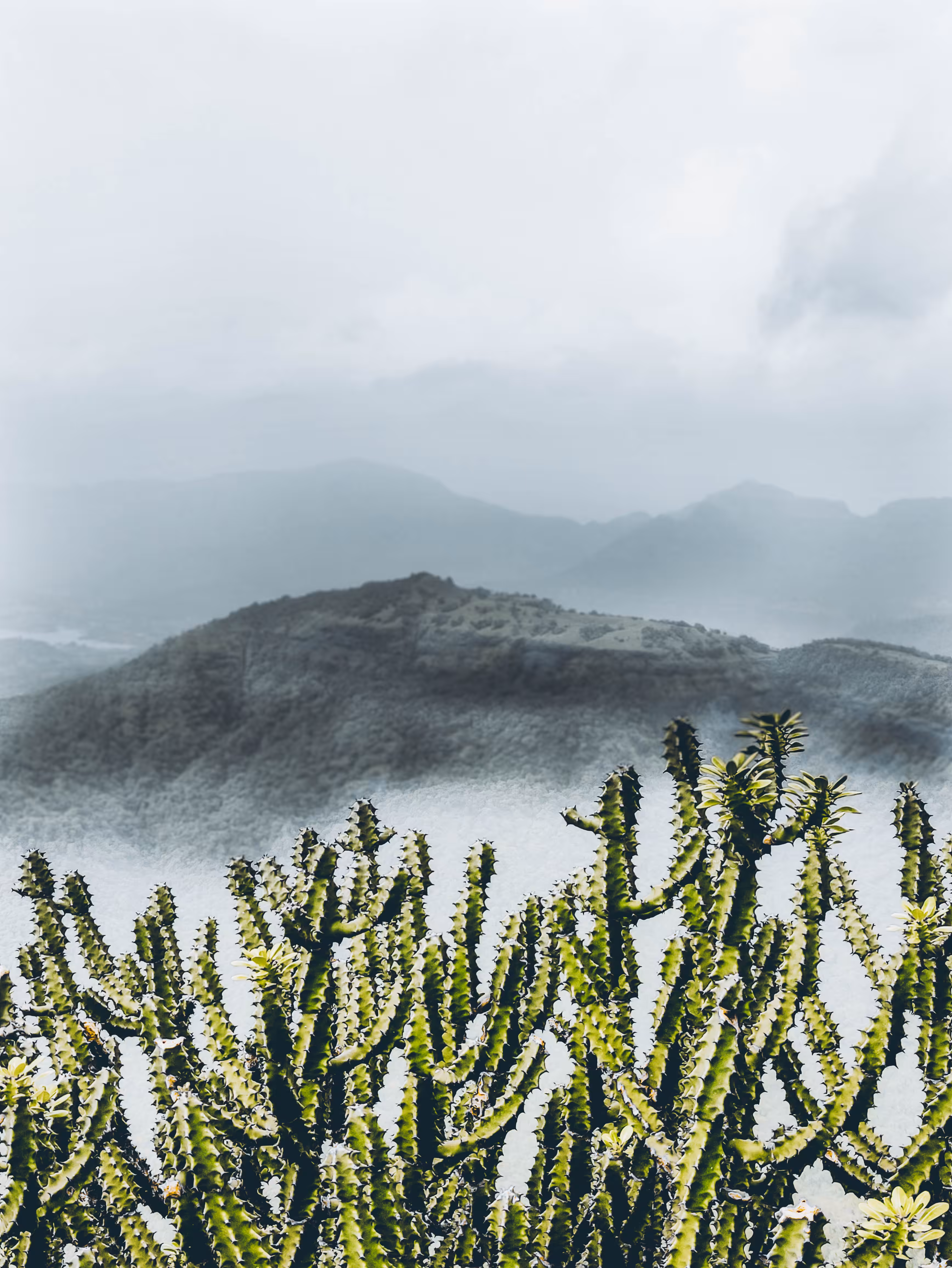 Rest High on the mountains