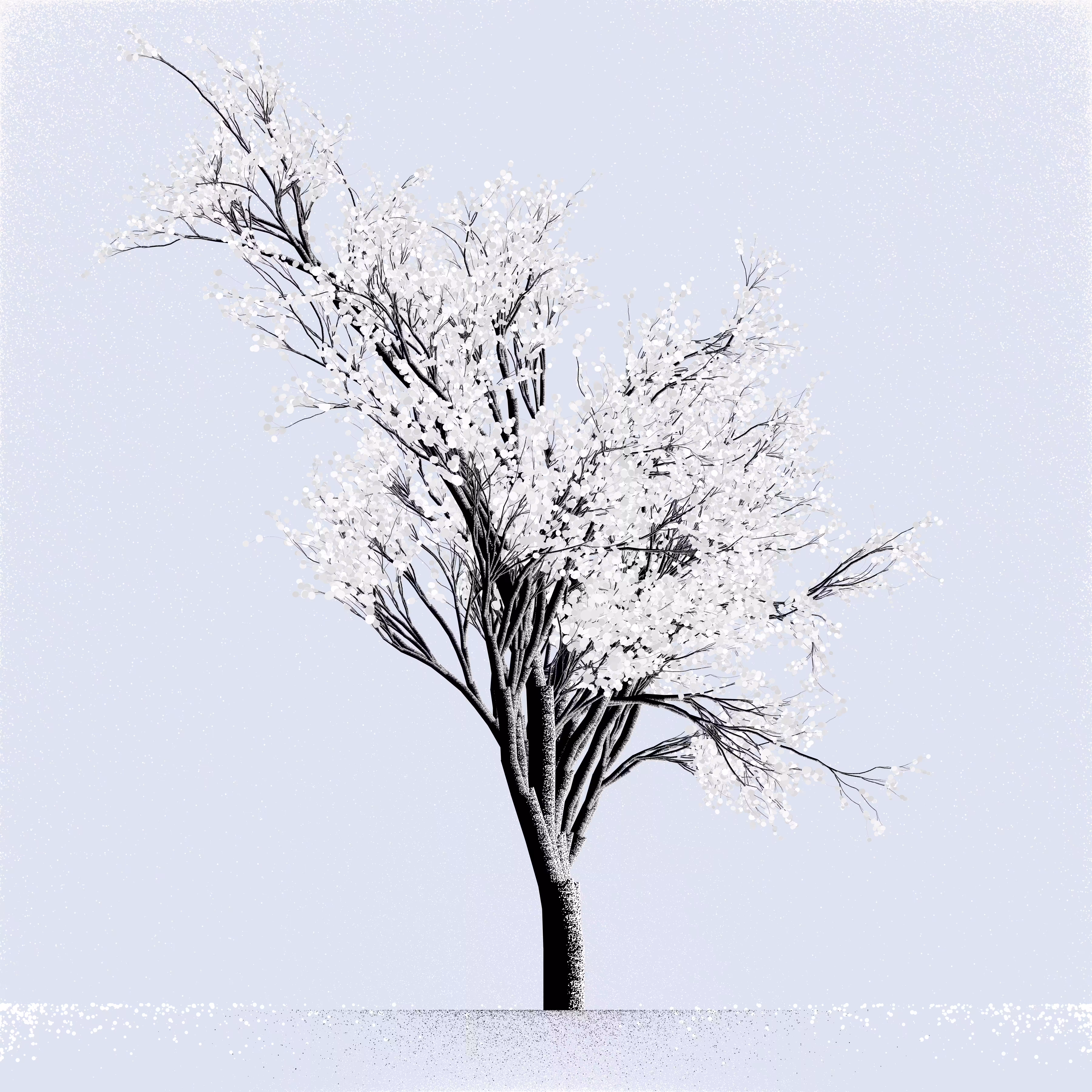 Snow Tree #38