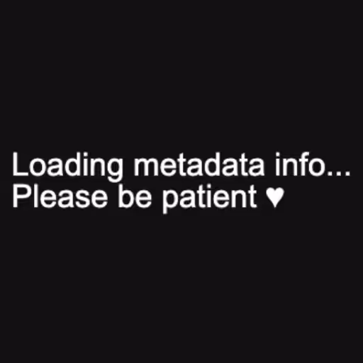 Loading metadata inf...