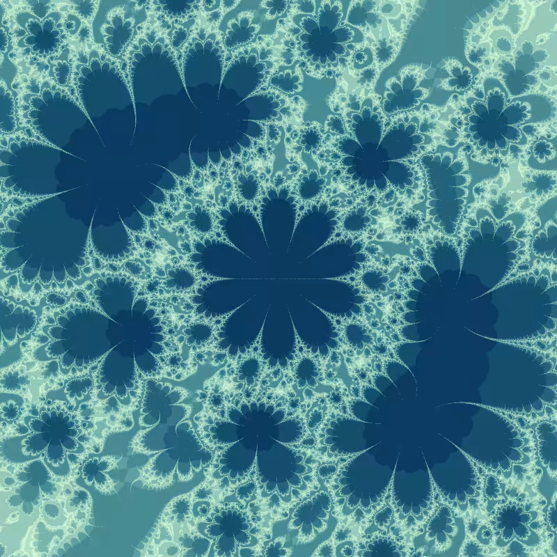 Morphology #72