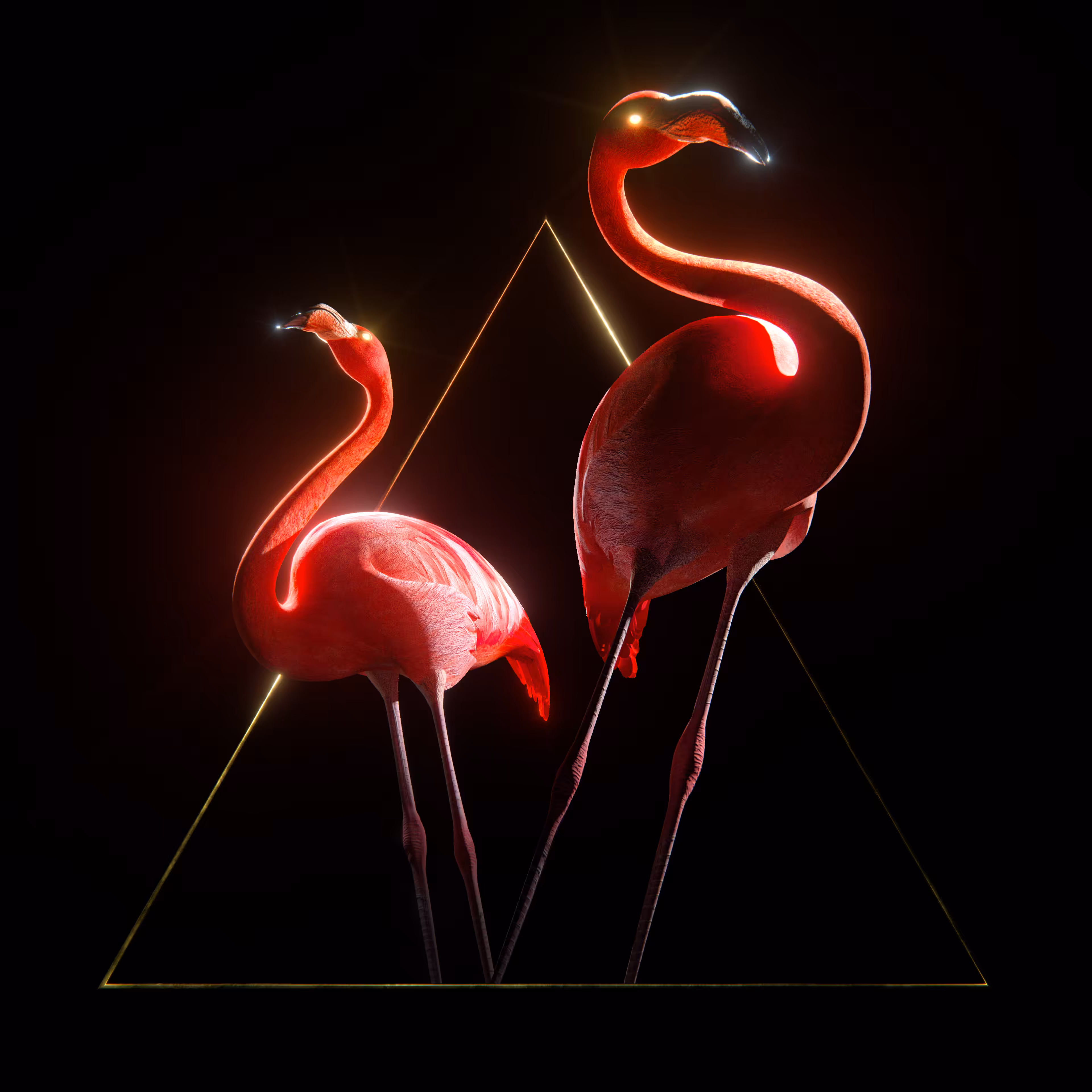 And the beak goes on by Gavin Shapiro