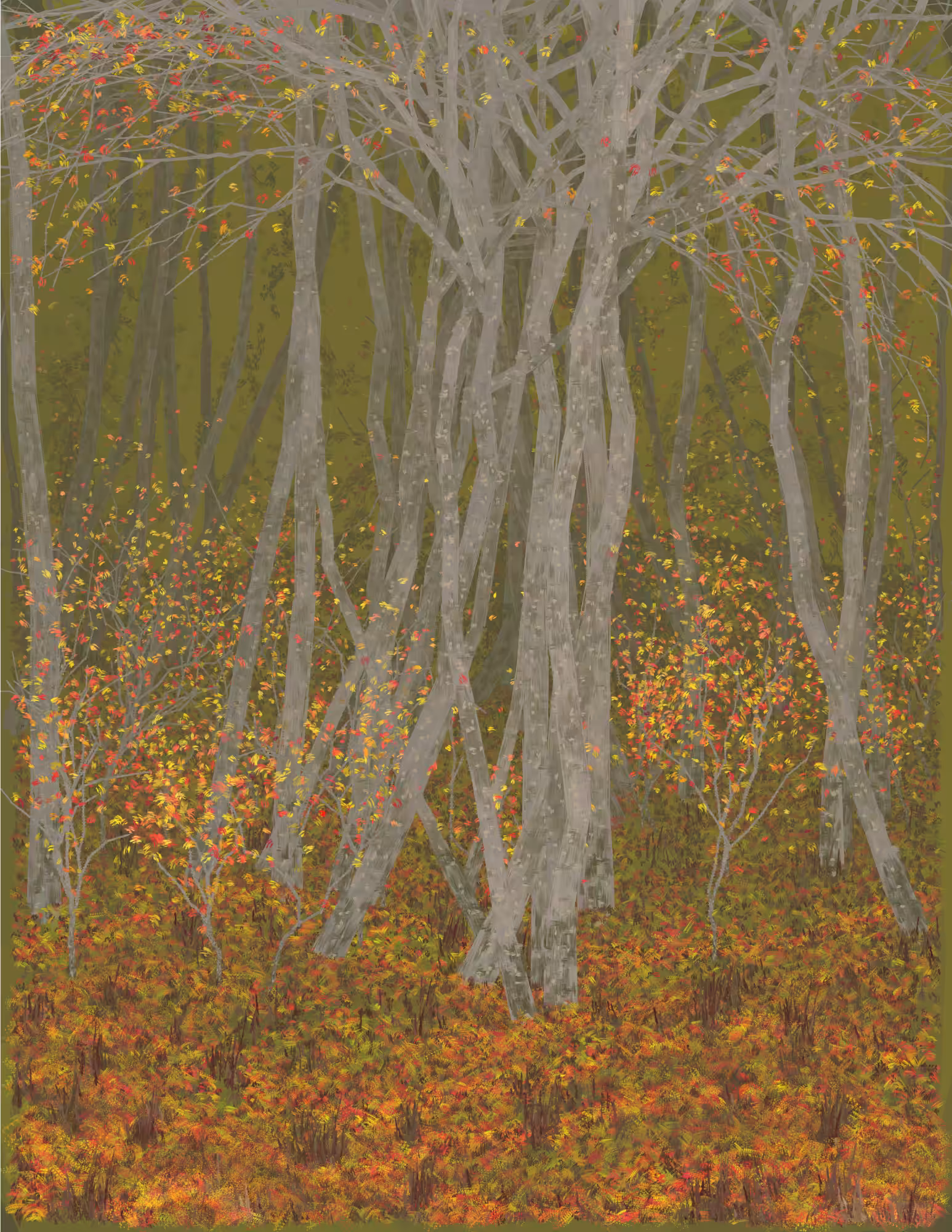 Deep Forest #82