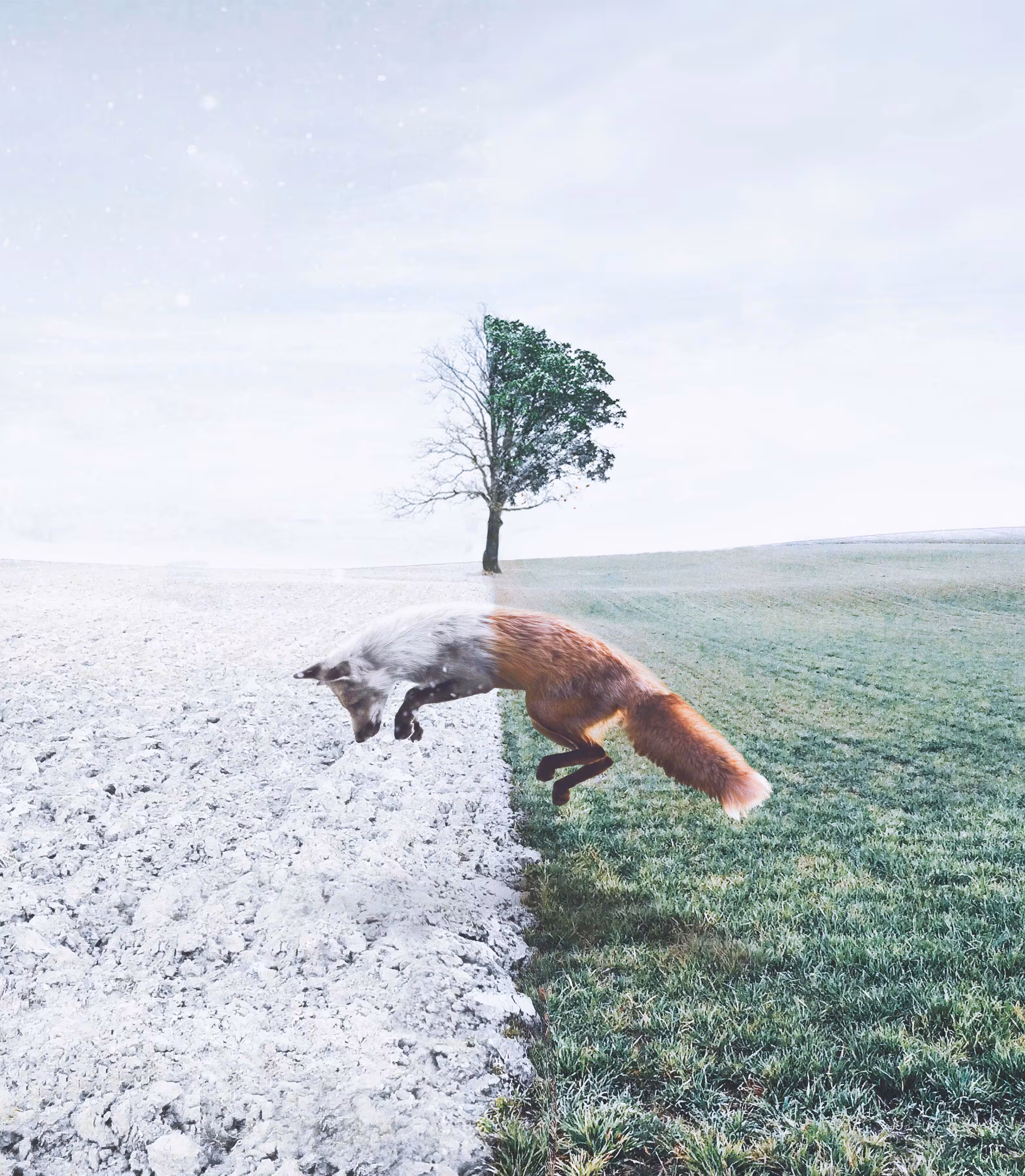 Leap of Faith