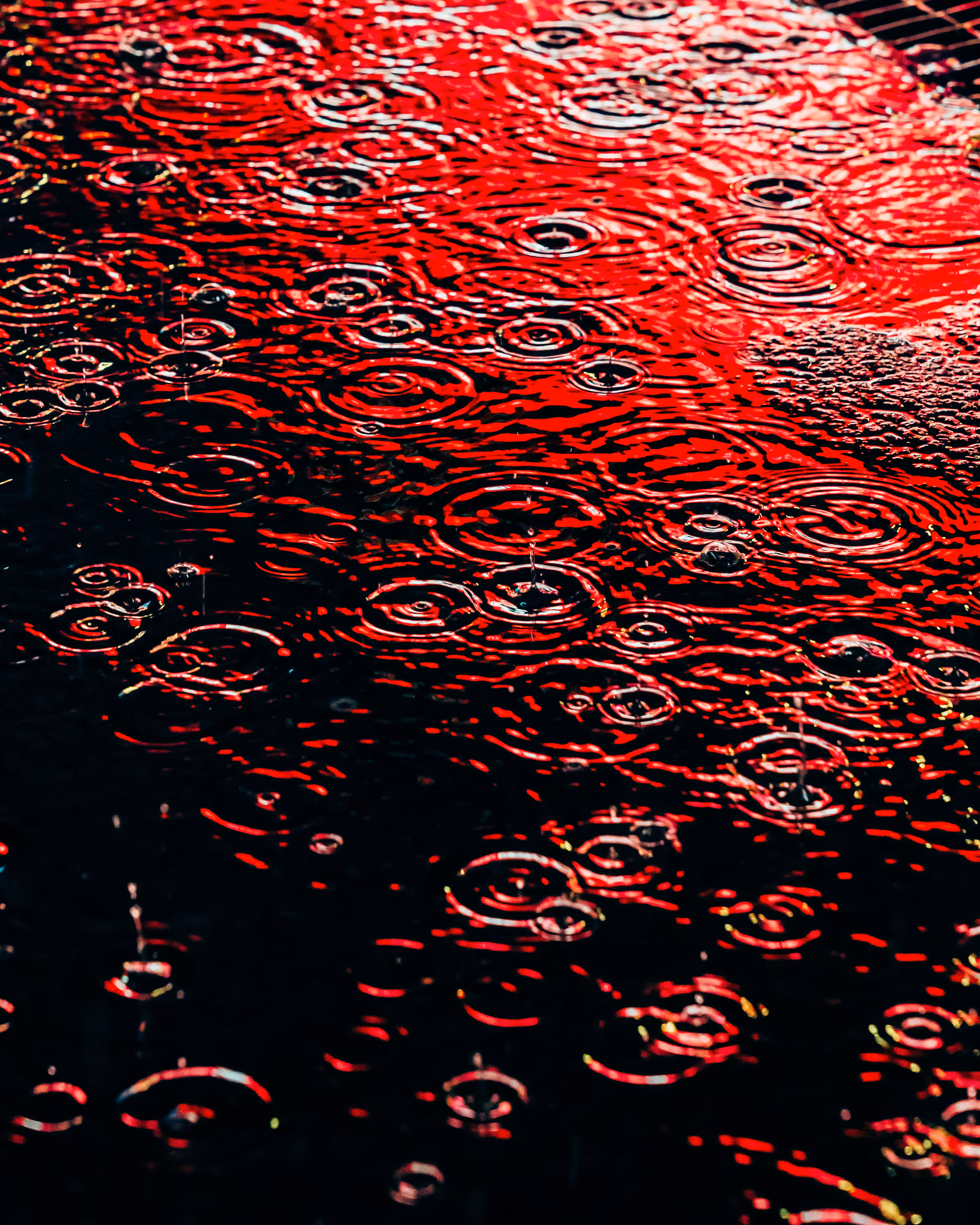 DRIP DROP: DRIP #669