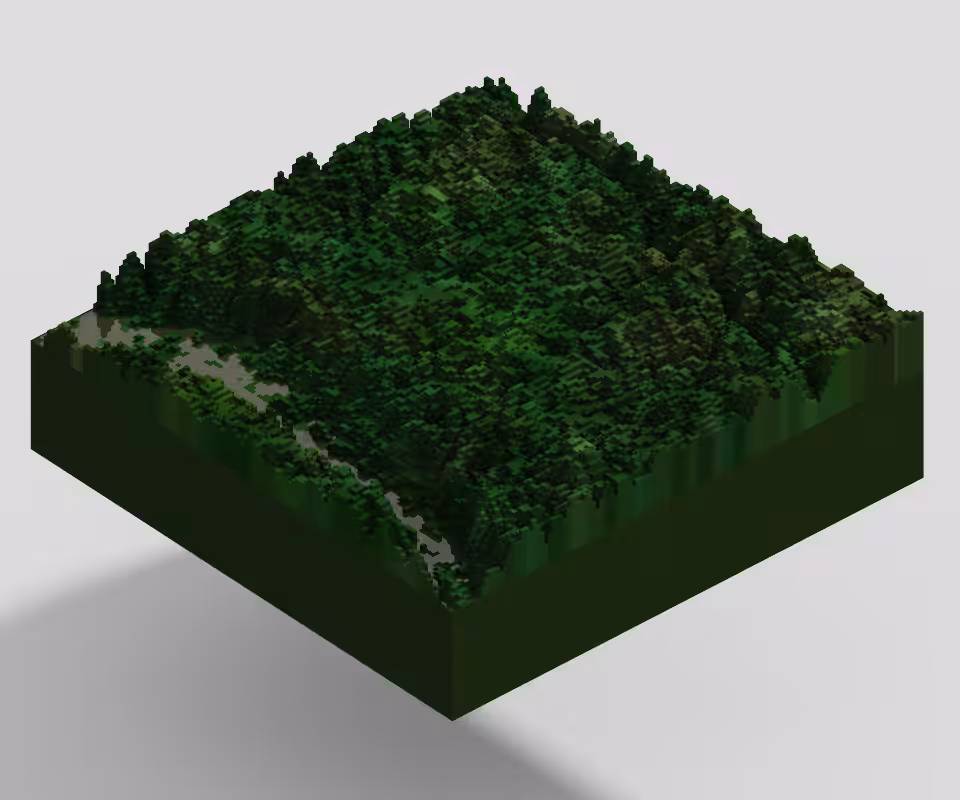 Lot #8 Amazonia