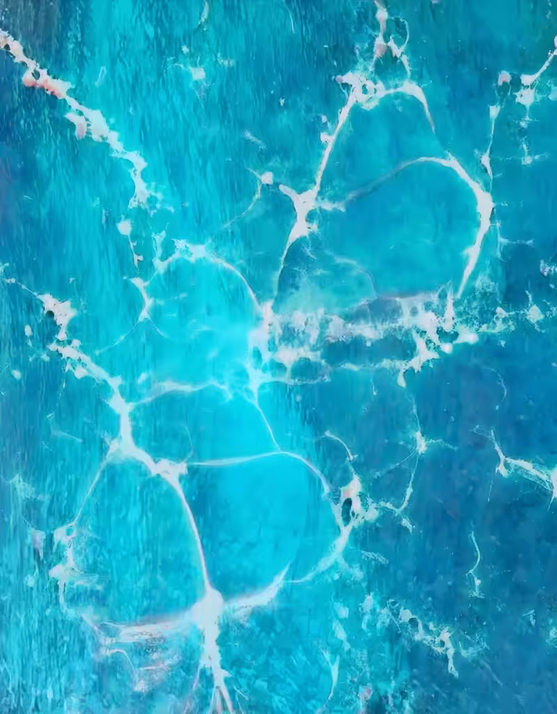 Ocean