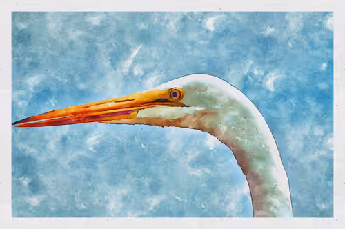 Watercolored 058