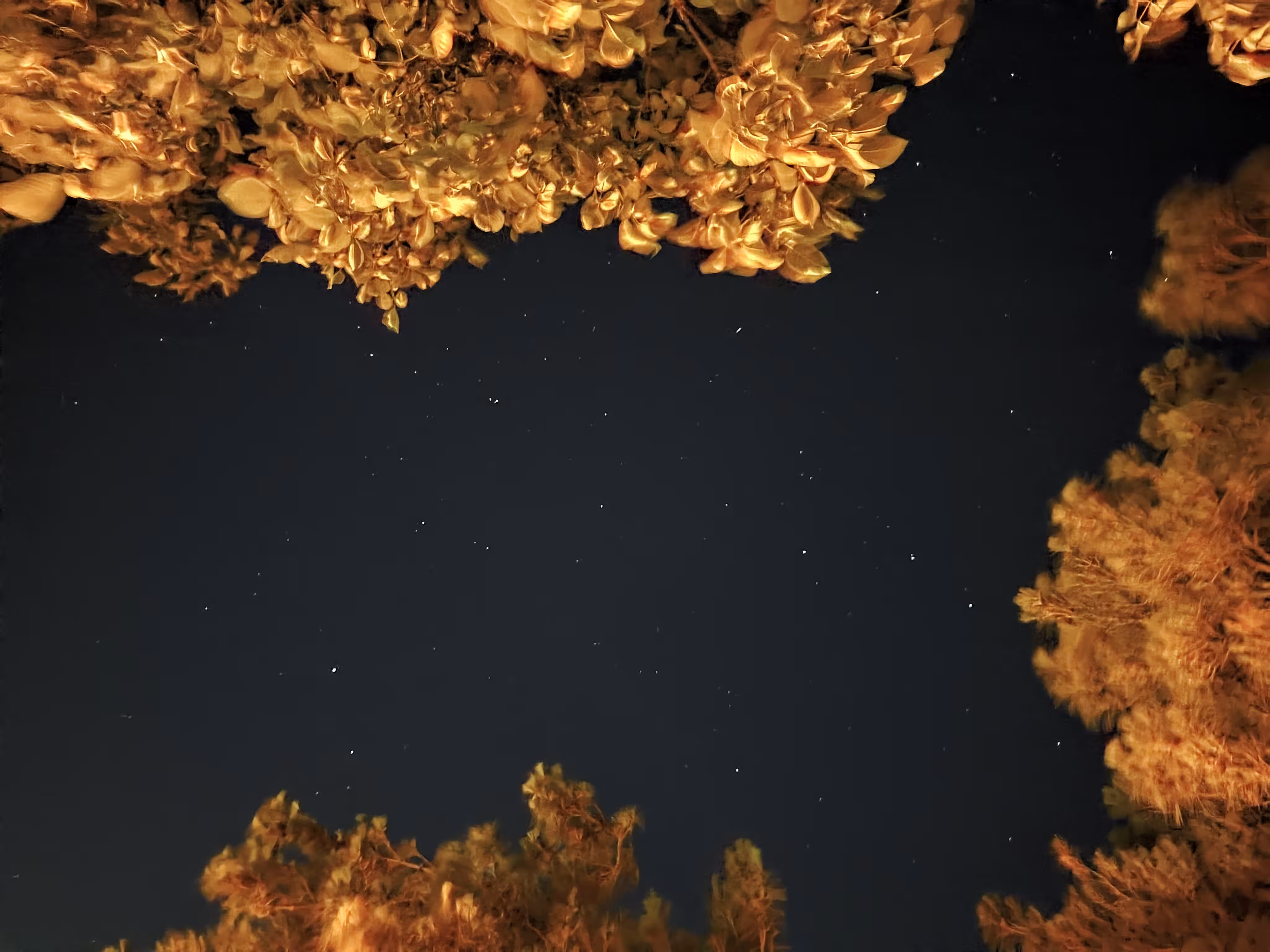 Every dot is a home