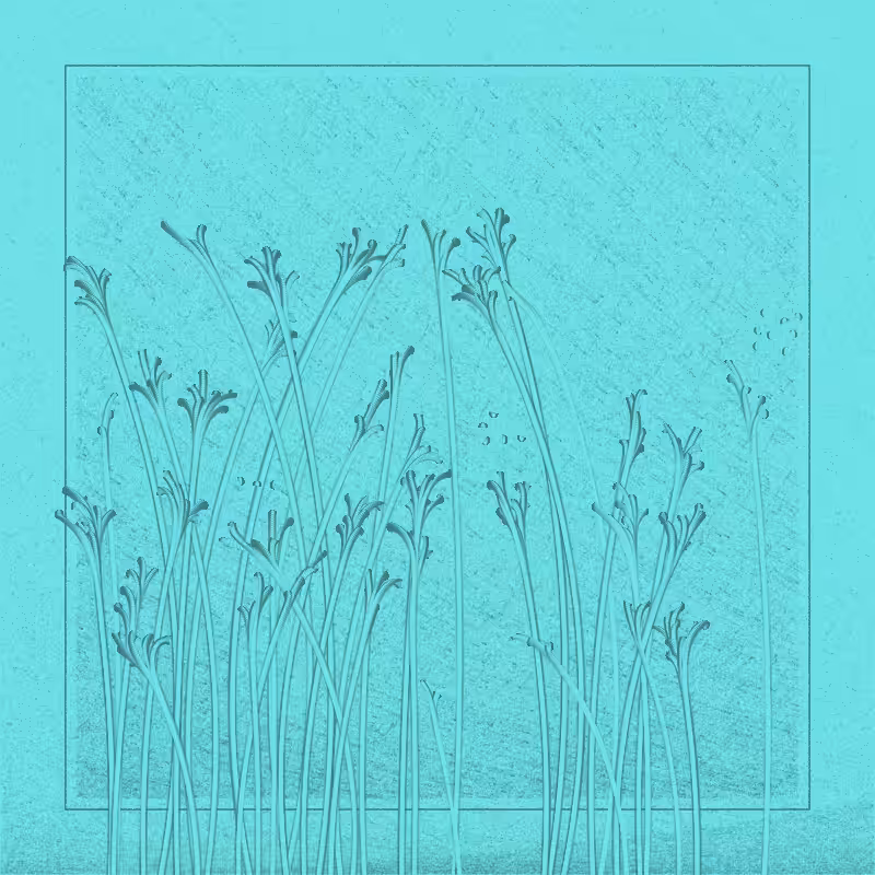string_pllu #29