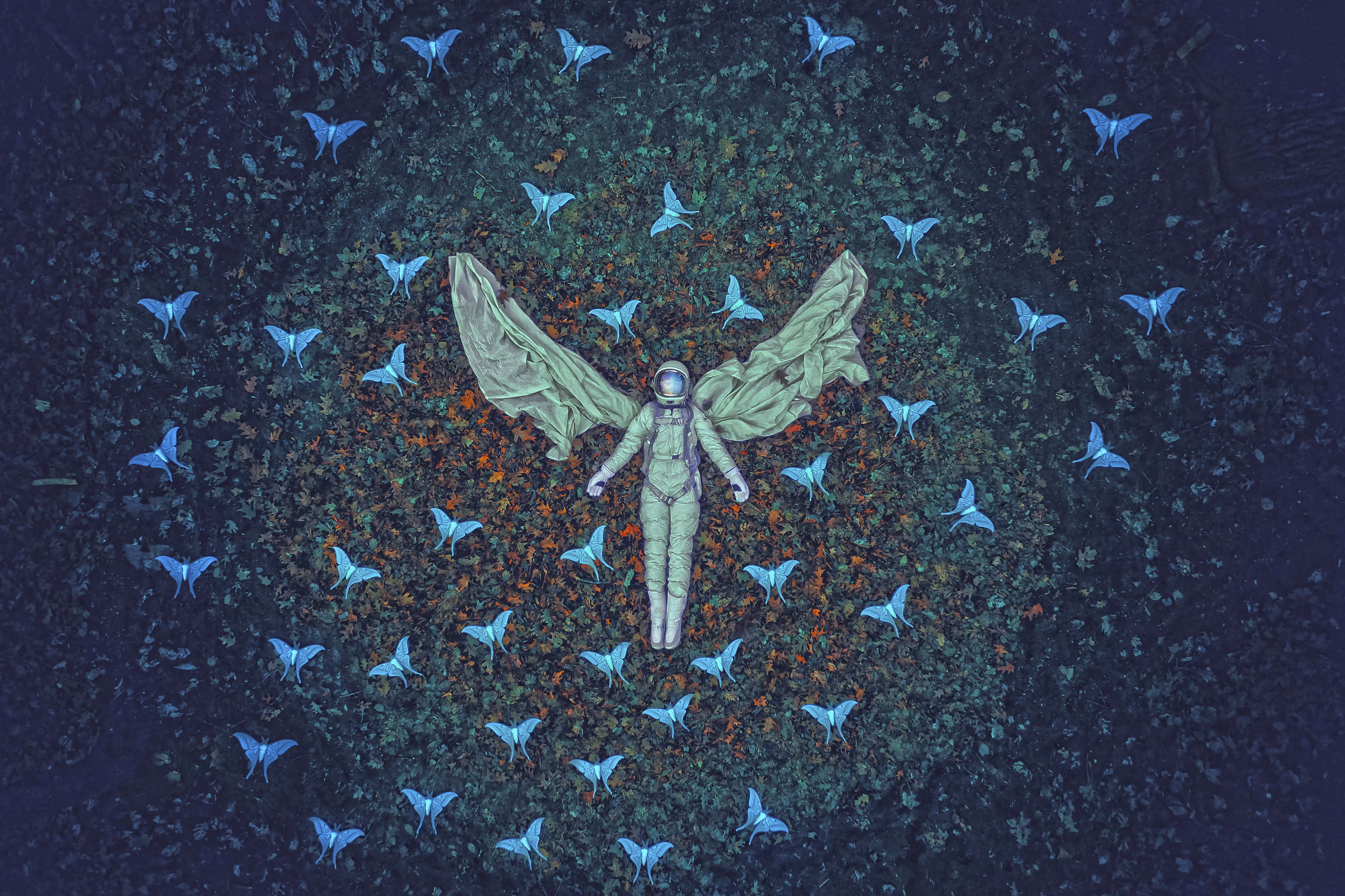 Frequency // Lunuar