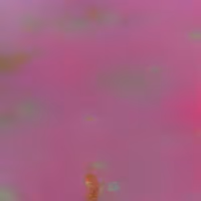 WORLD PSILOCYBIN