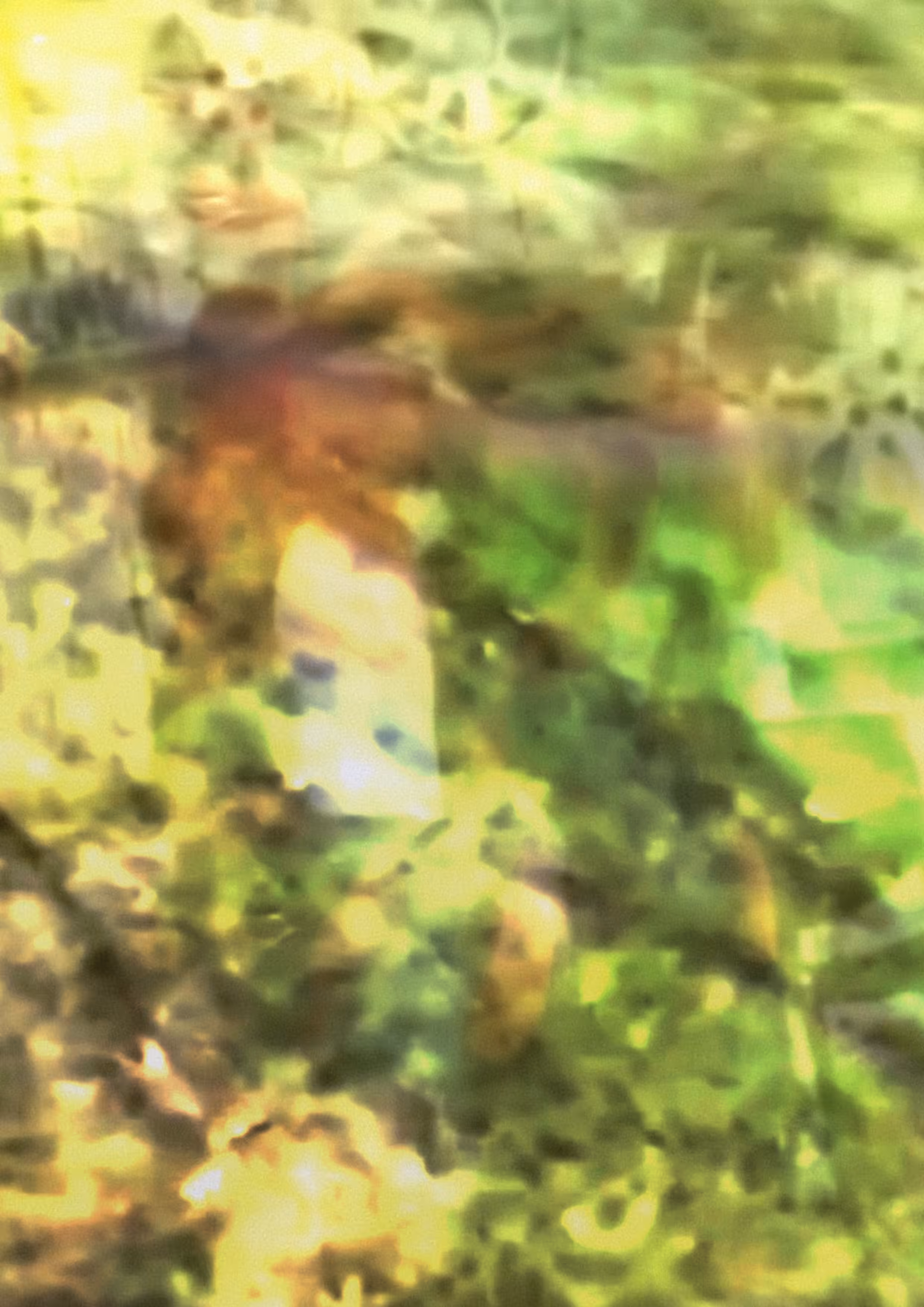 you_dont_have_bones.png