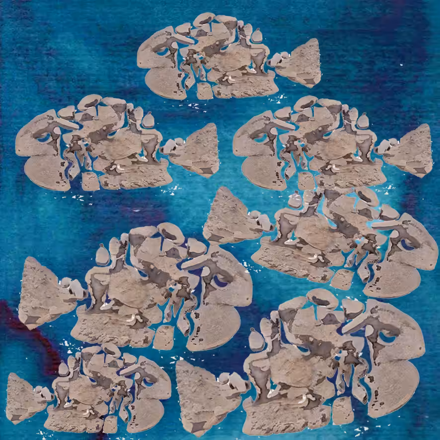 MudfishSoup #2