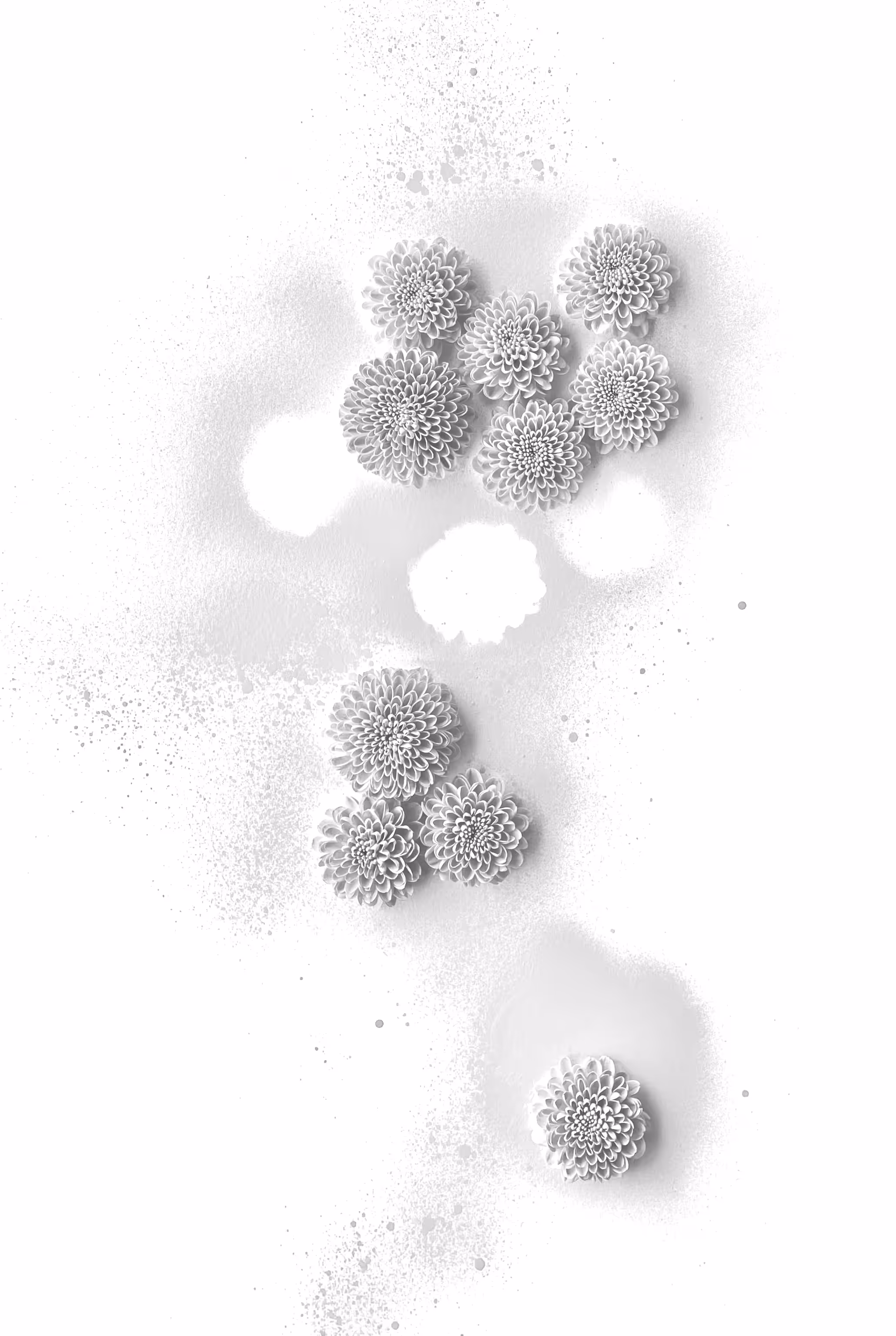 桜 #8