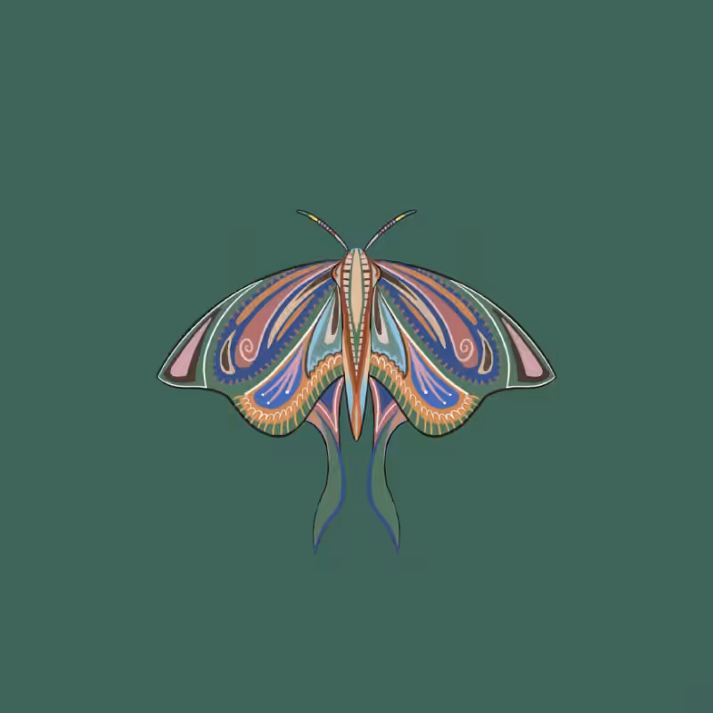 The Moth Experiment 2.0 P2 #32