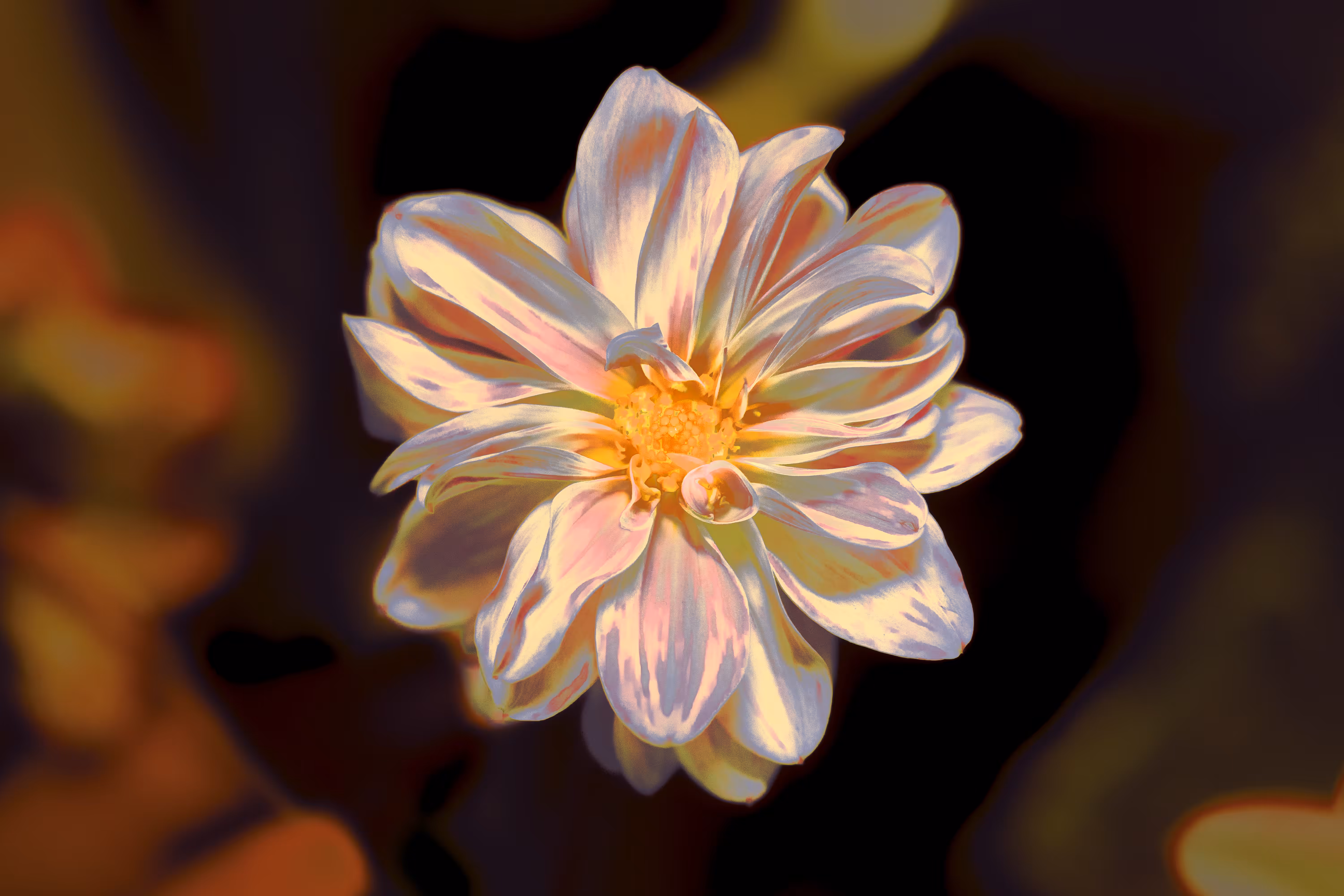 PRISM