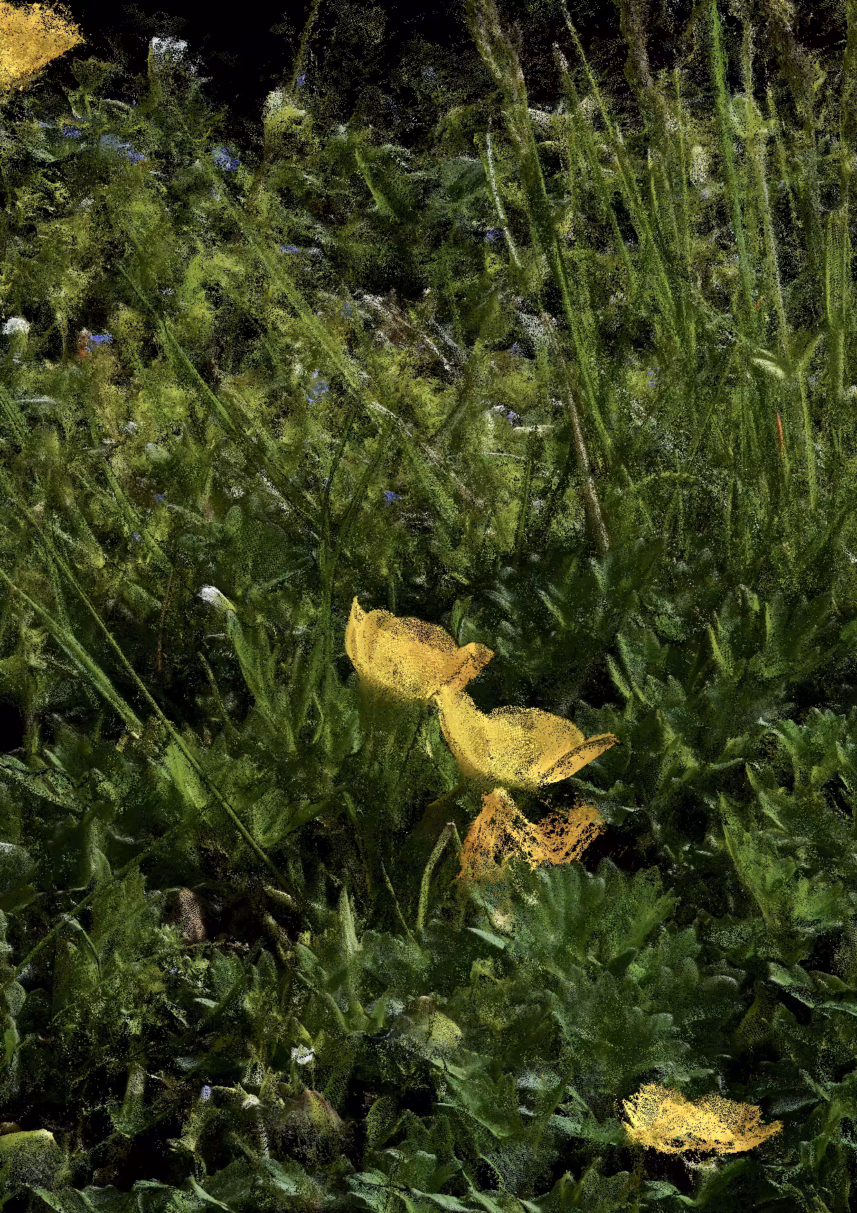 Overgrowth 0140