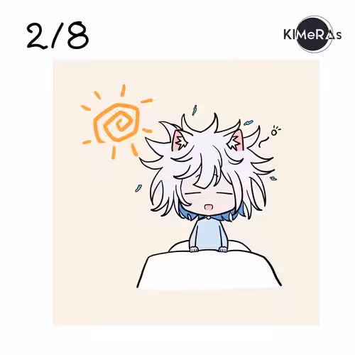 2/8