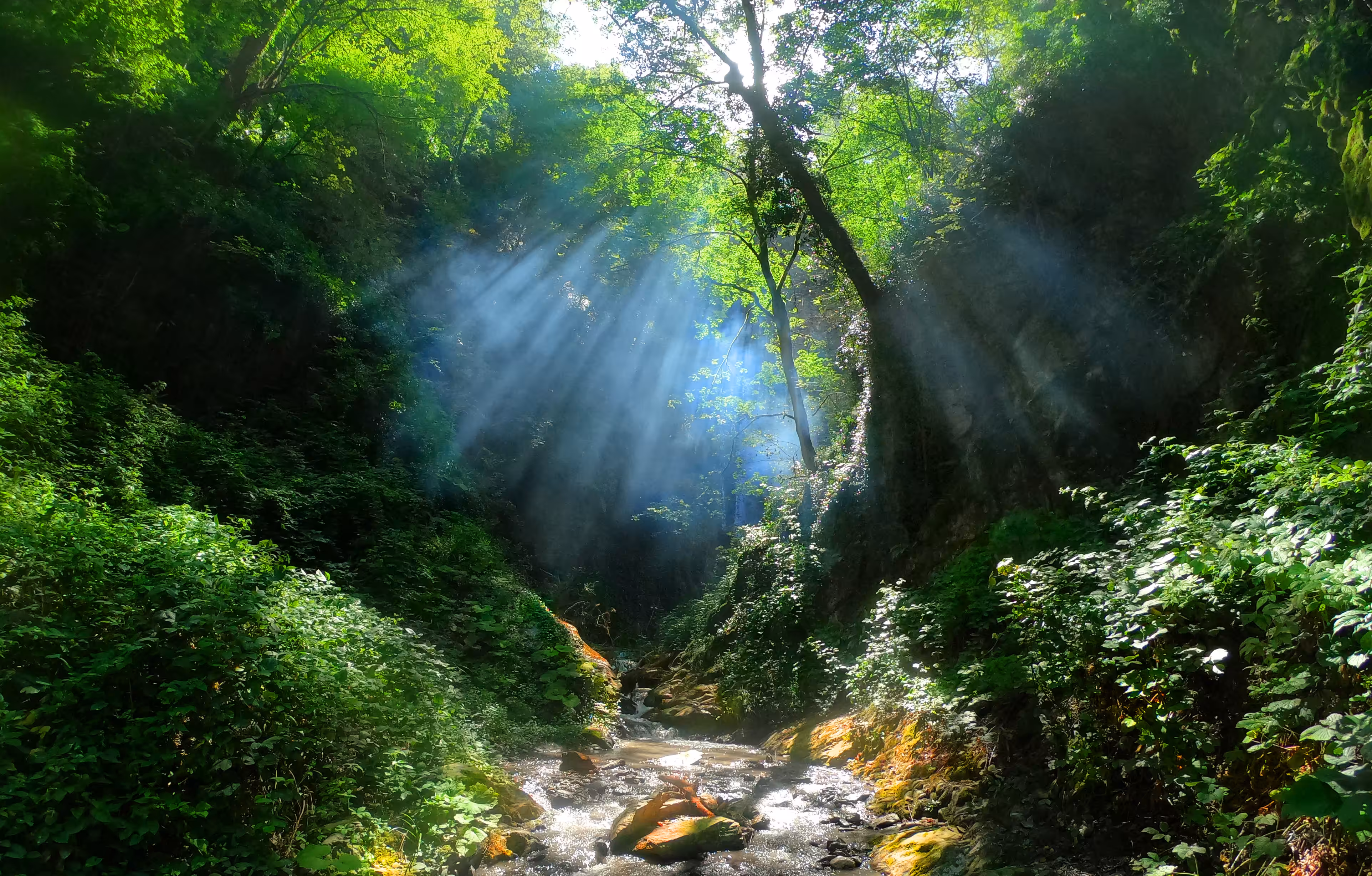 Light Of Heaven