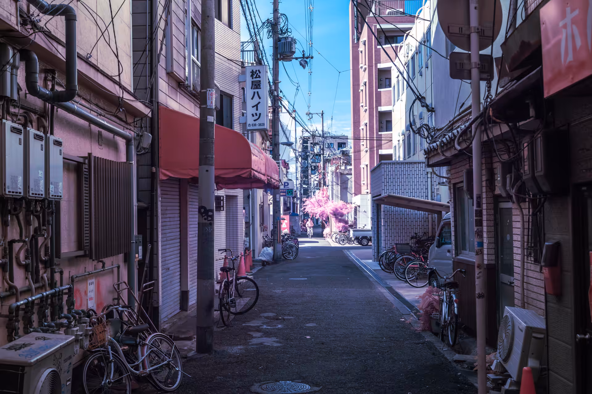 MomentsAsia365: Moments #1071