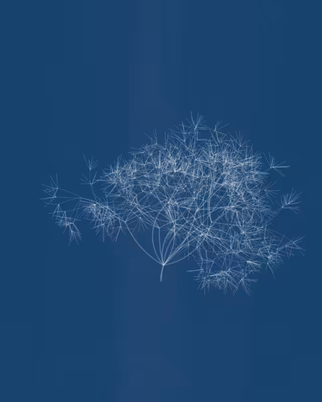 Cyanotypes #88