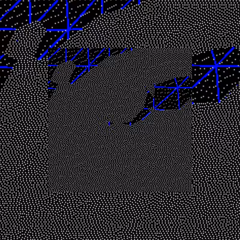 SURGE #10