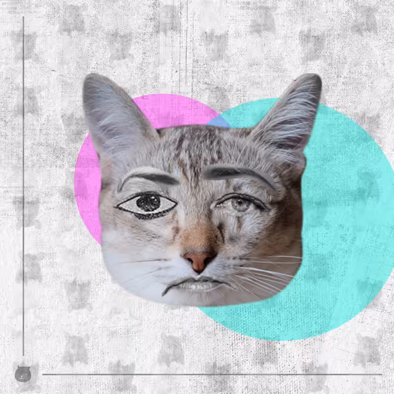 Kittenstein #47