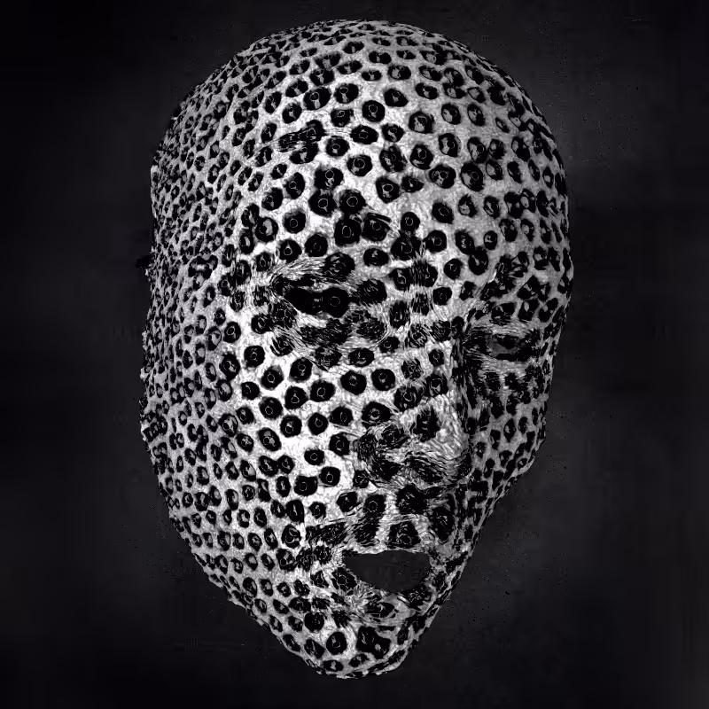 Minima Monochromy Mask #15