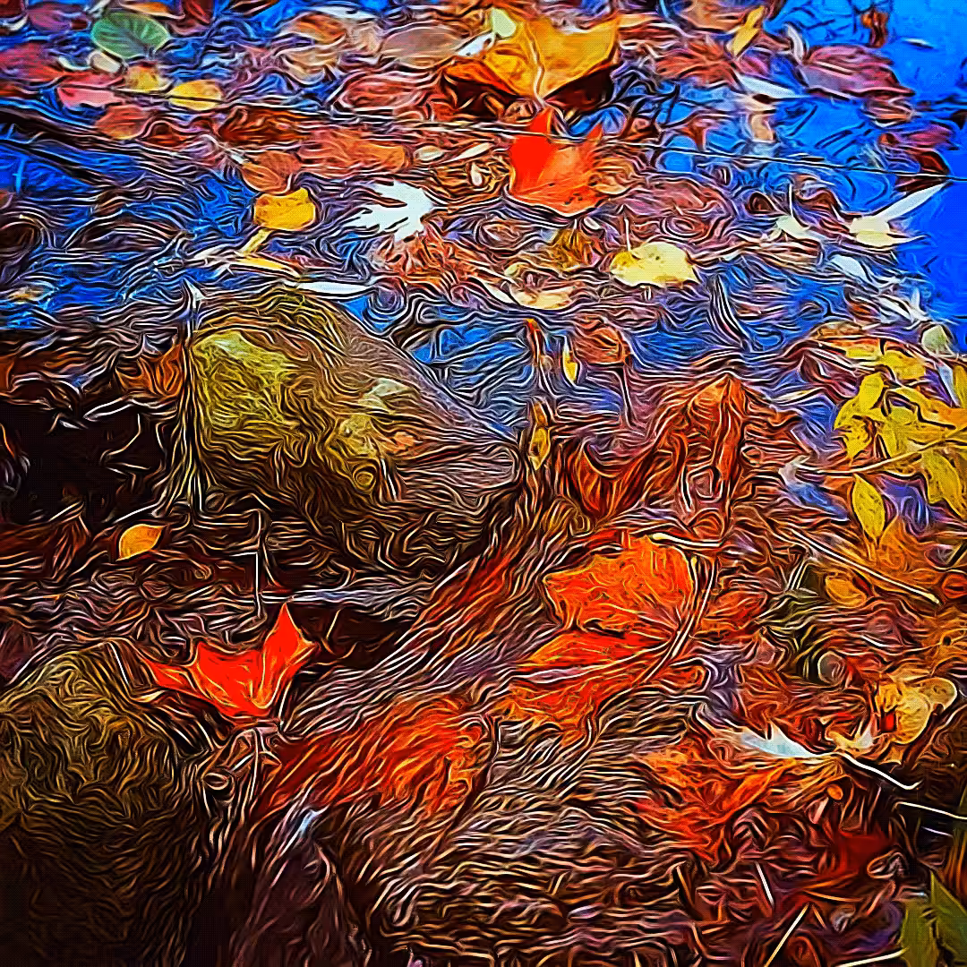 Meandering Stream