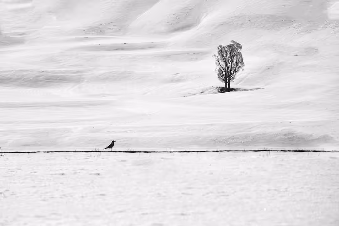 Winter