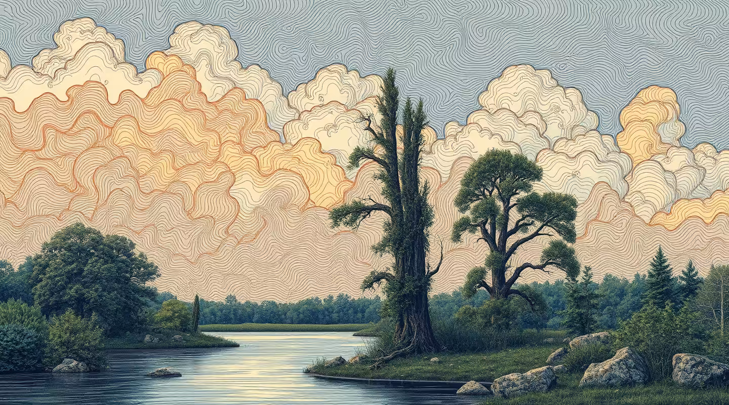 landscape-40