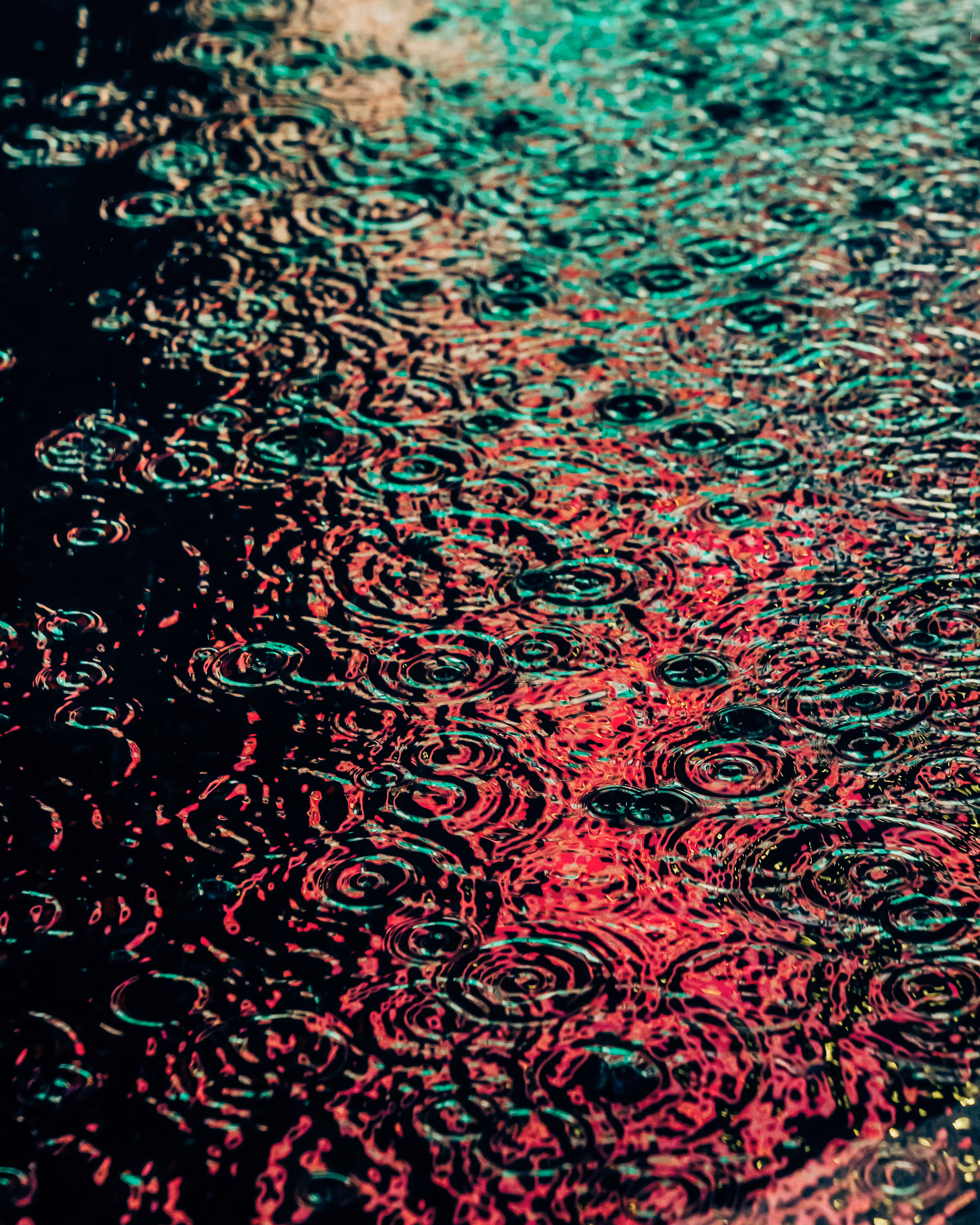 DRIP #688