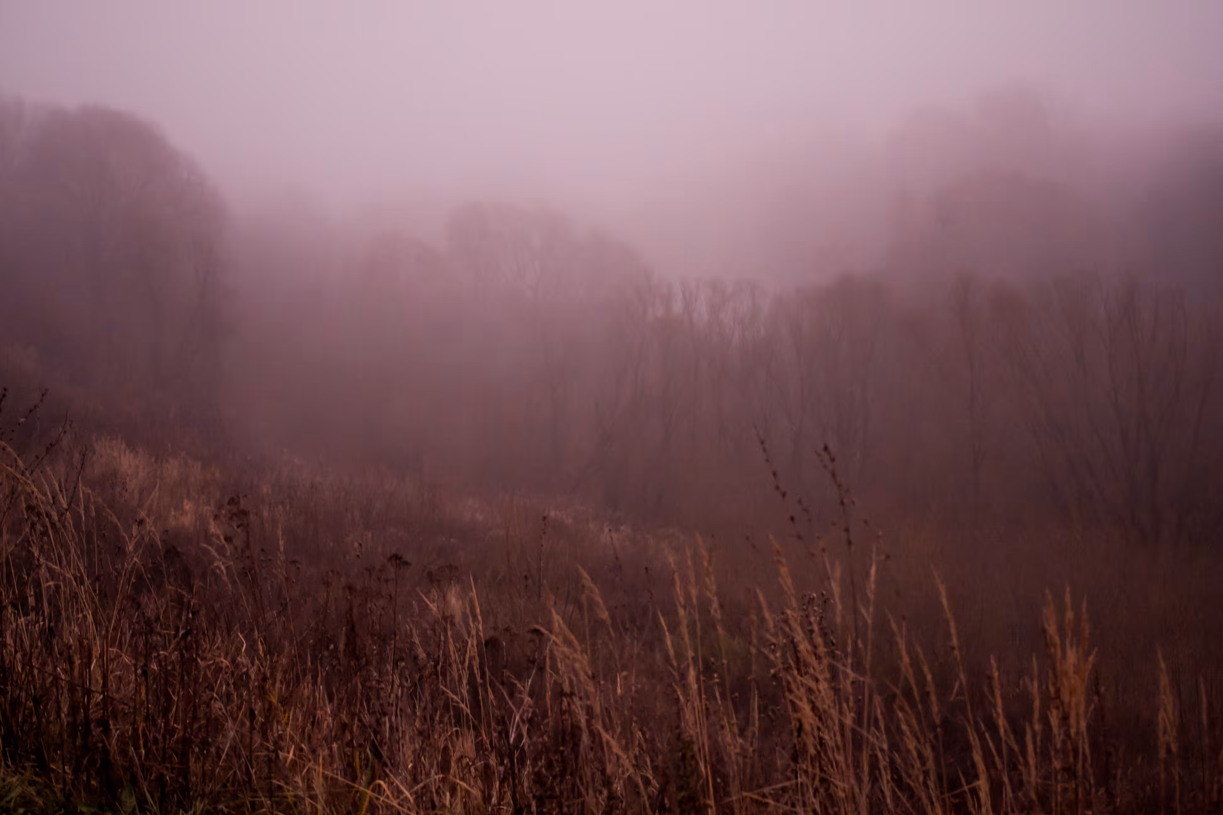 “Misty fall “