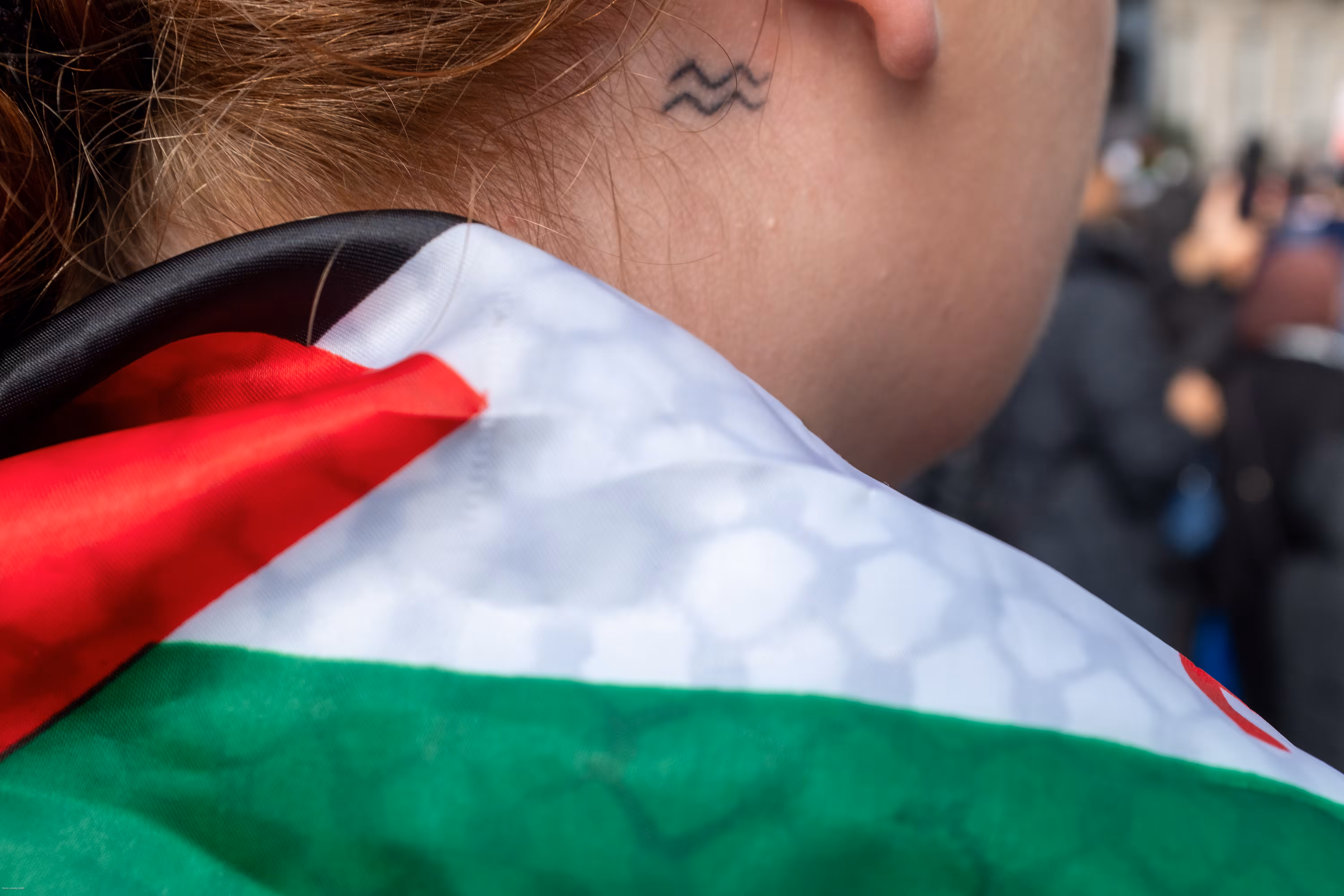 Palestine Solidarity 2