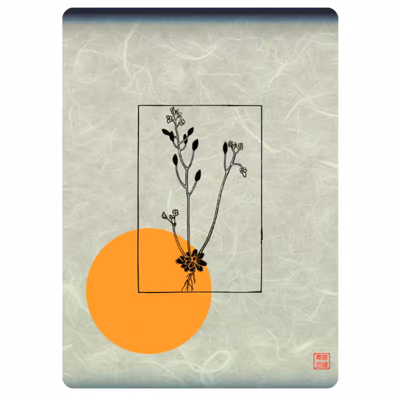 Zen flower card #33