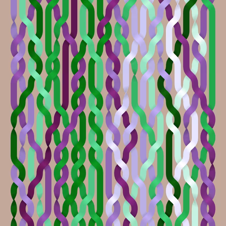 Endless Braids #53