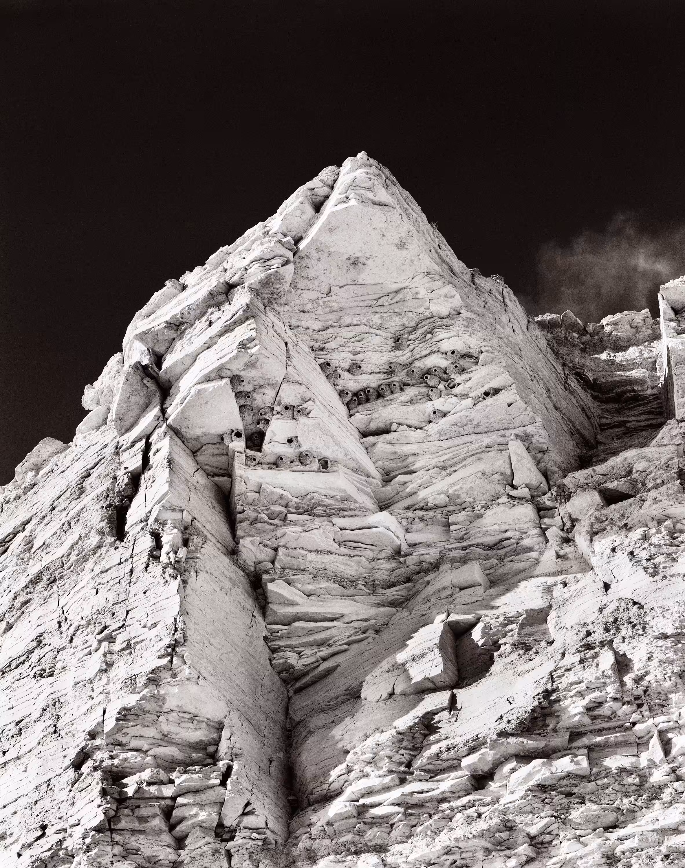 Cliff Swallow Nests, Terlingua, Tx, 2009
